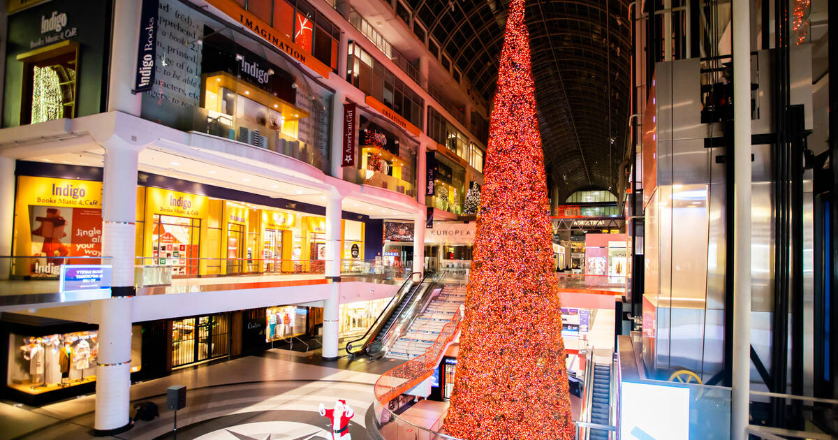 多伦多最高的圣诞树本月将重返伊顿中心