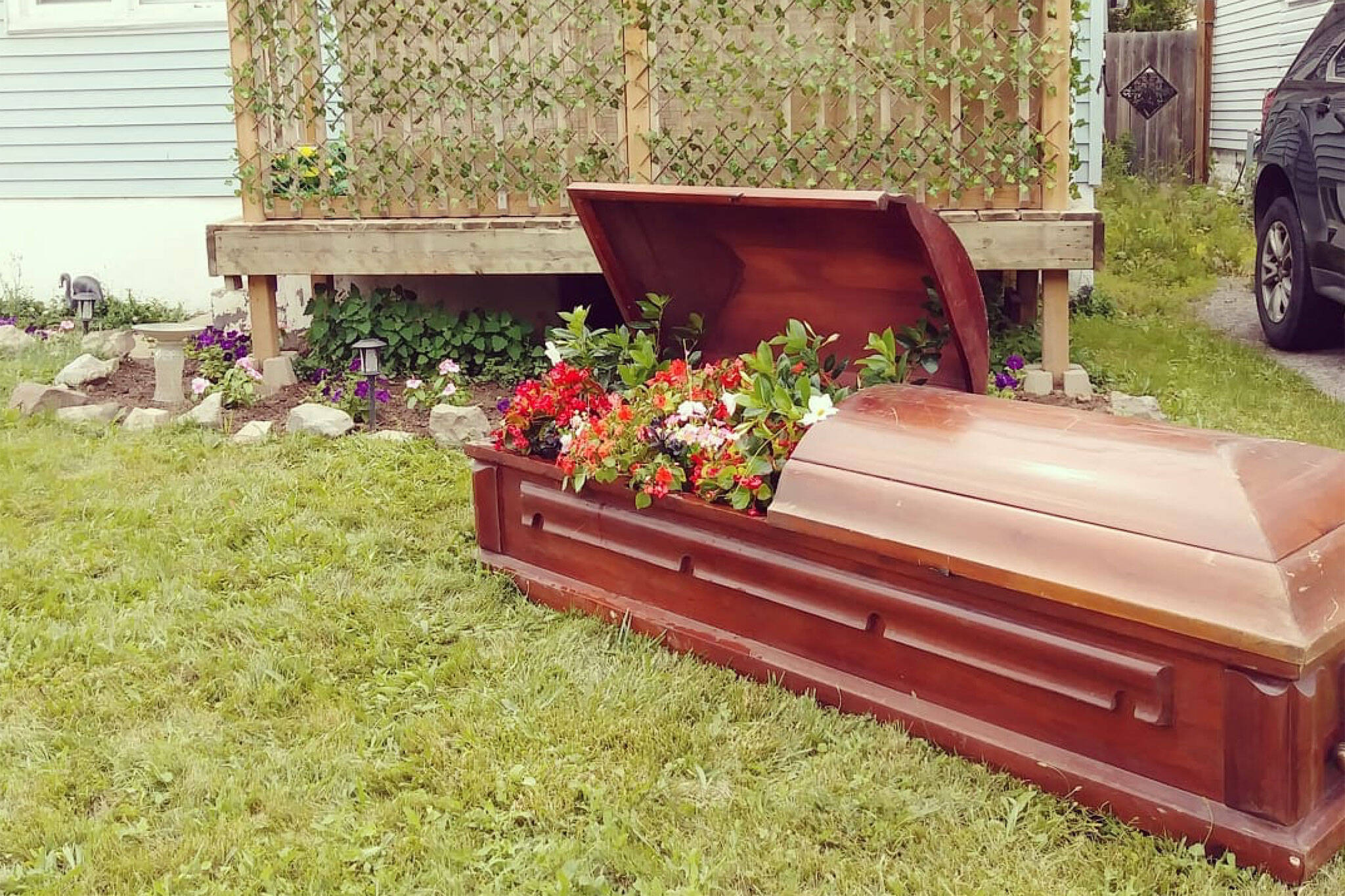 coffin flower