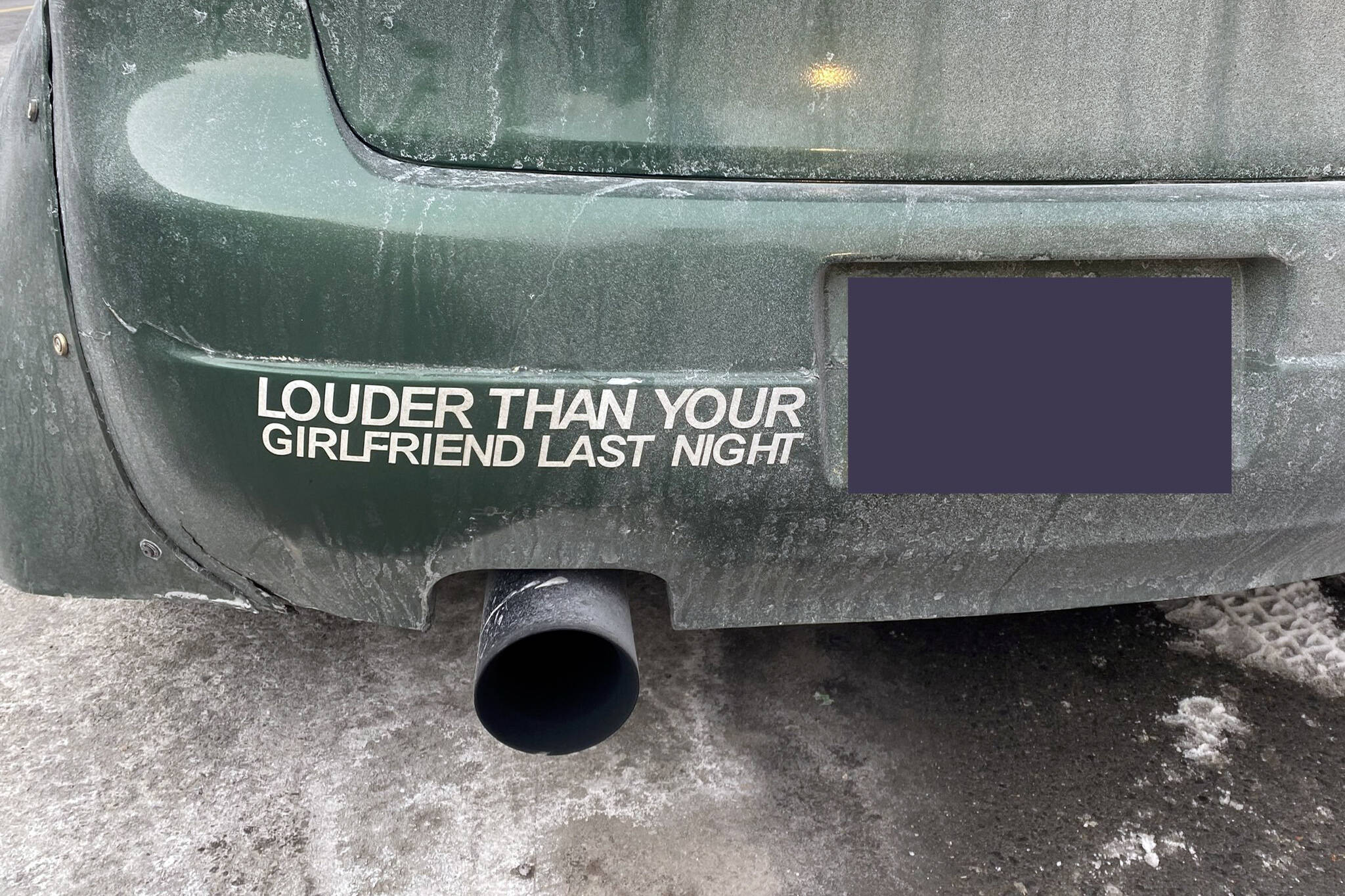 dumb bumper sticker