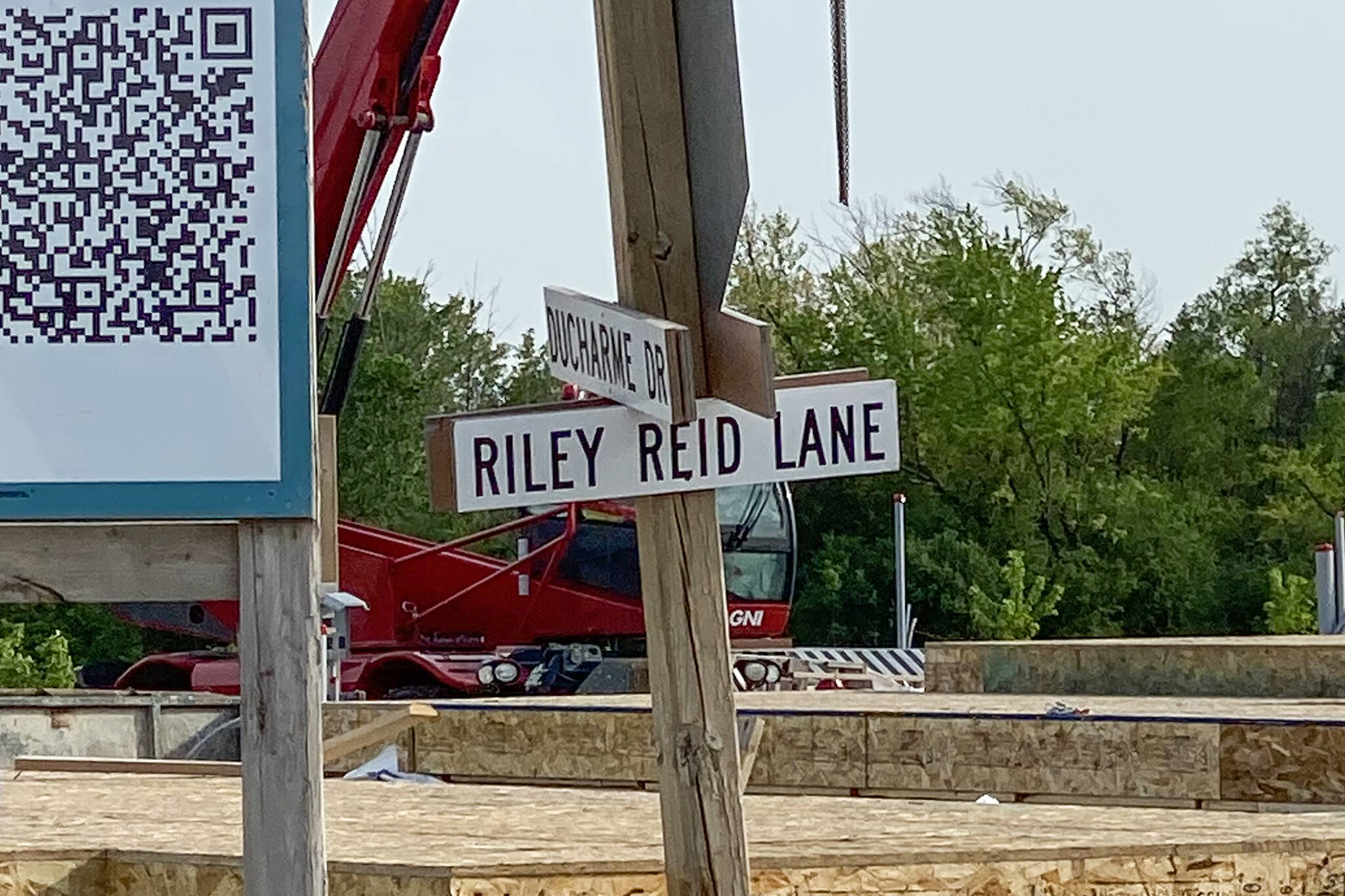 riley reid lane