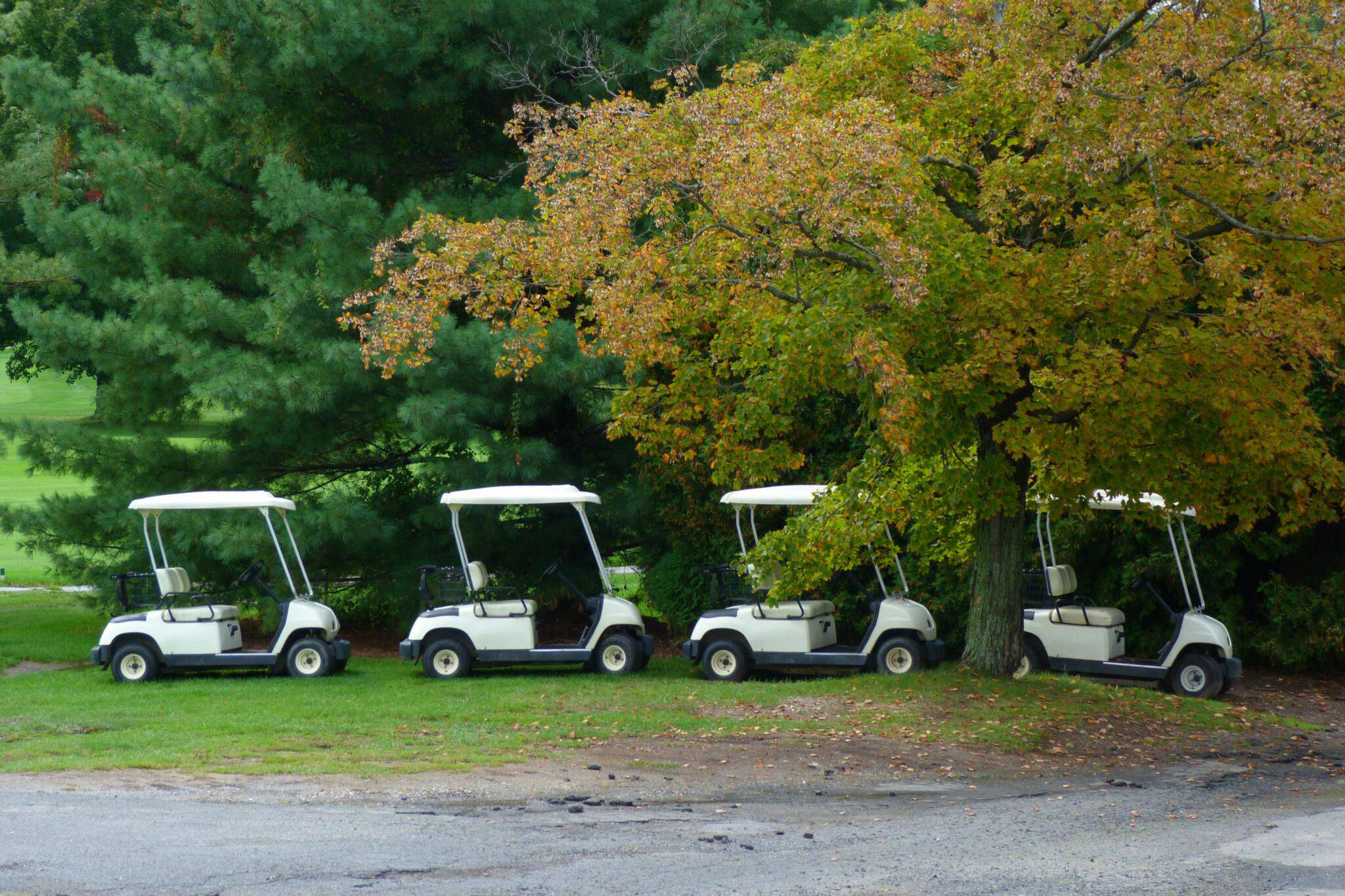 golf cart uber toronto islands