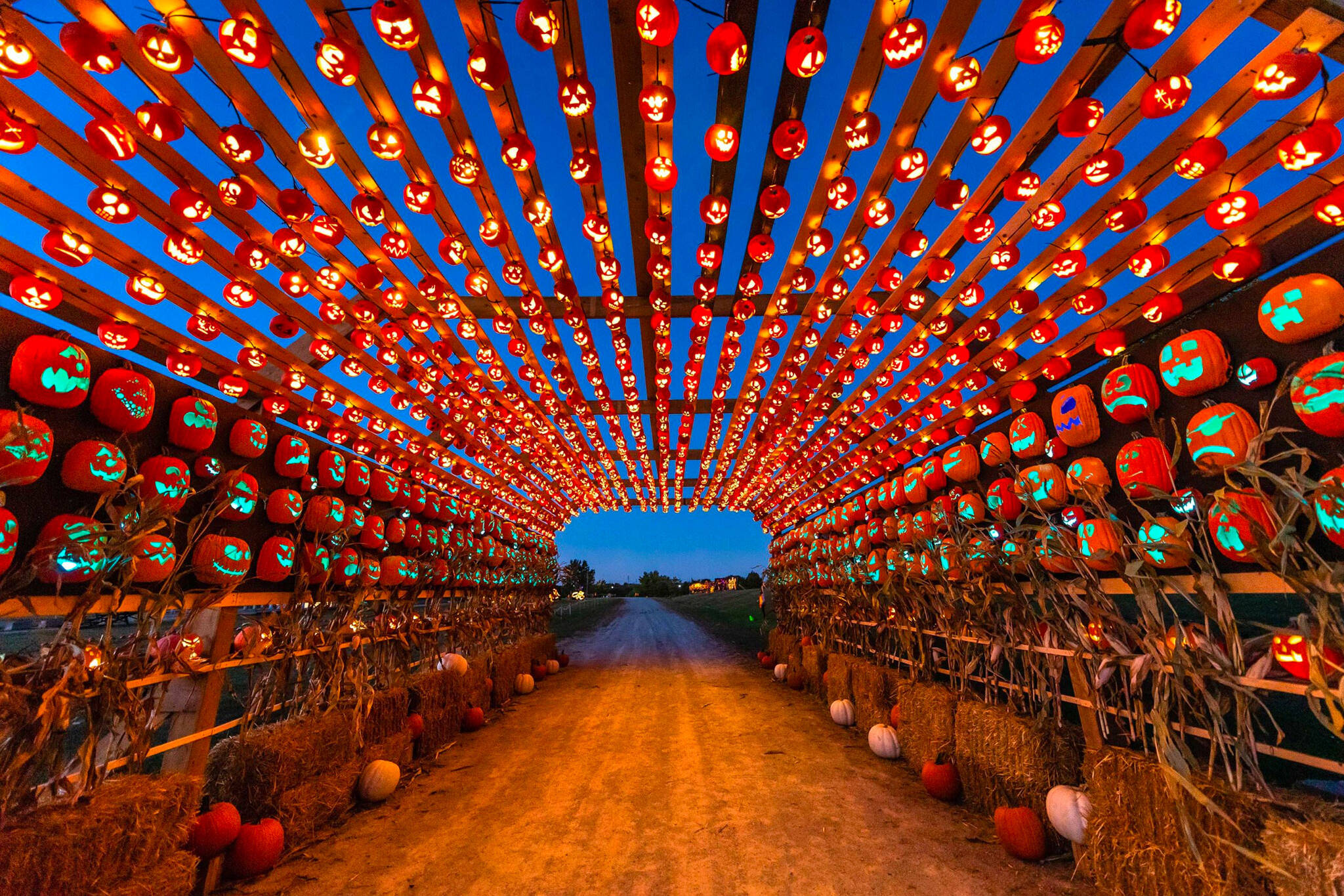 A festival with thousands of glowing pumpkins is coming to Ontario this
