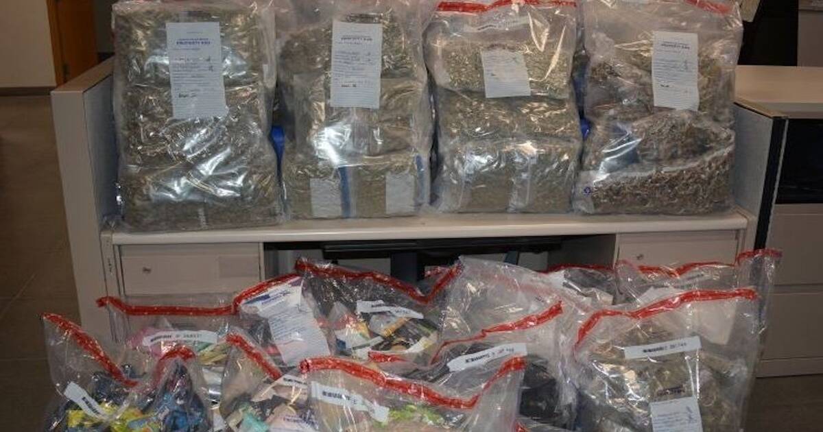 Huge drug bust finds over 100 kilos of weed and magic mushrooms in Toronto condo