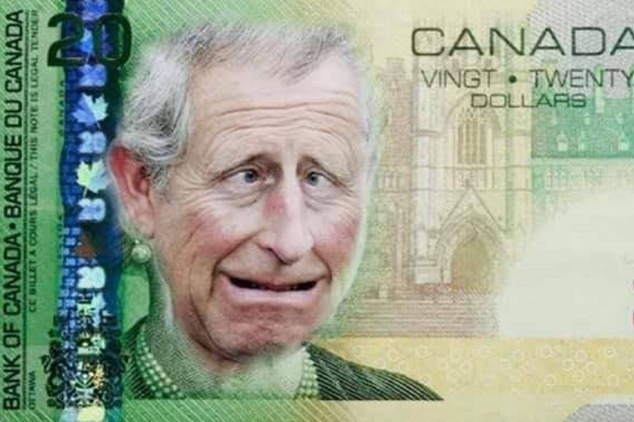 Canadians come up with new 20 bill designs to replace Queen Elizabeth II