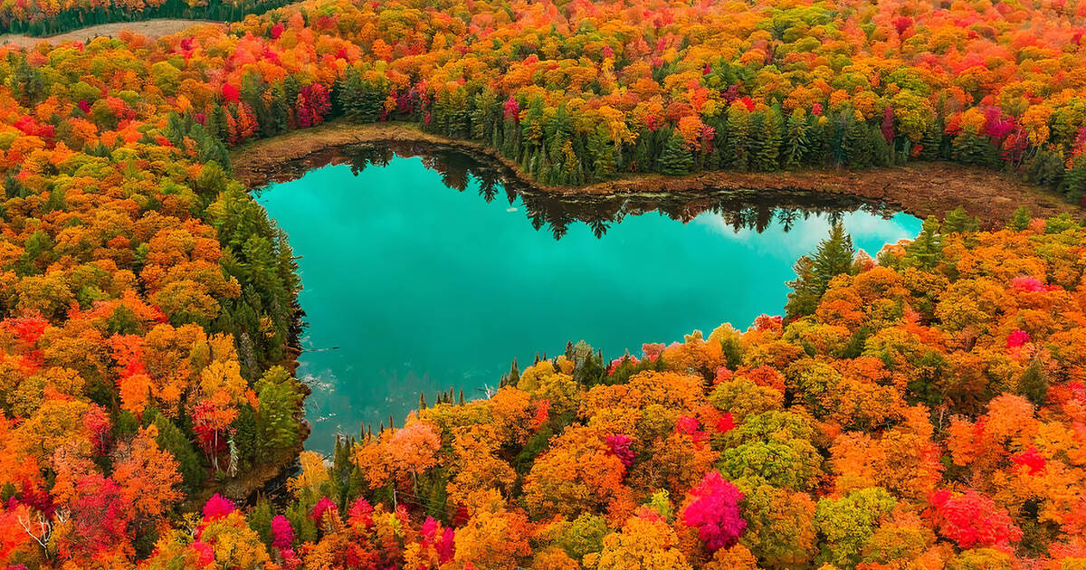Осень озеро сердце