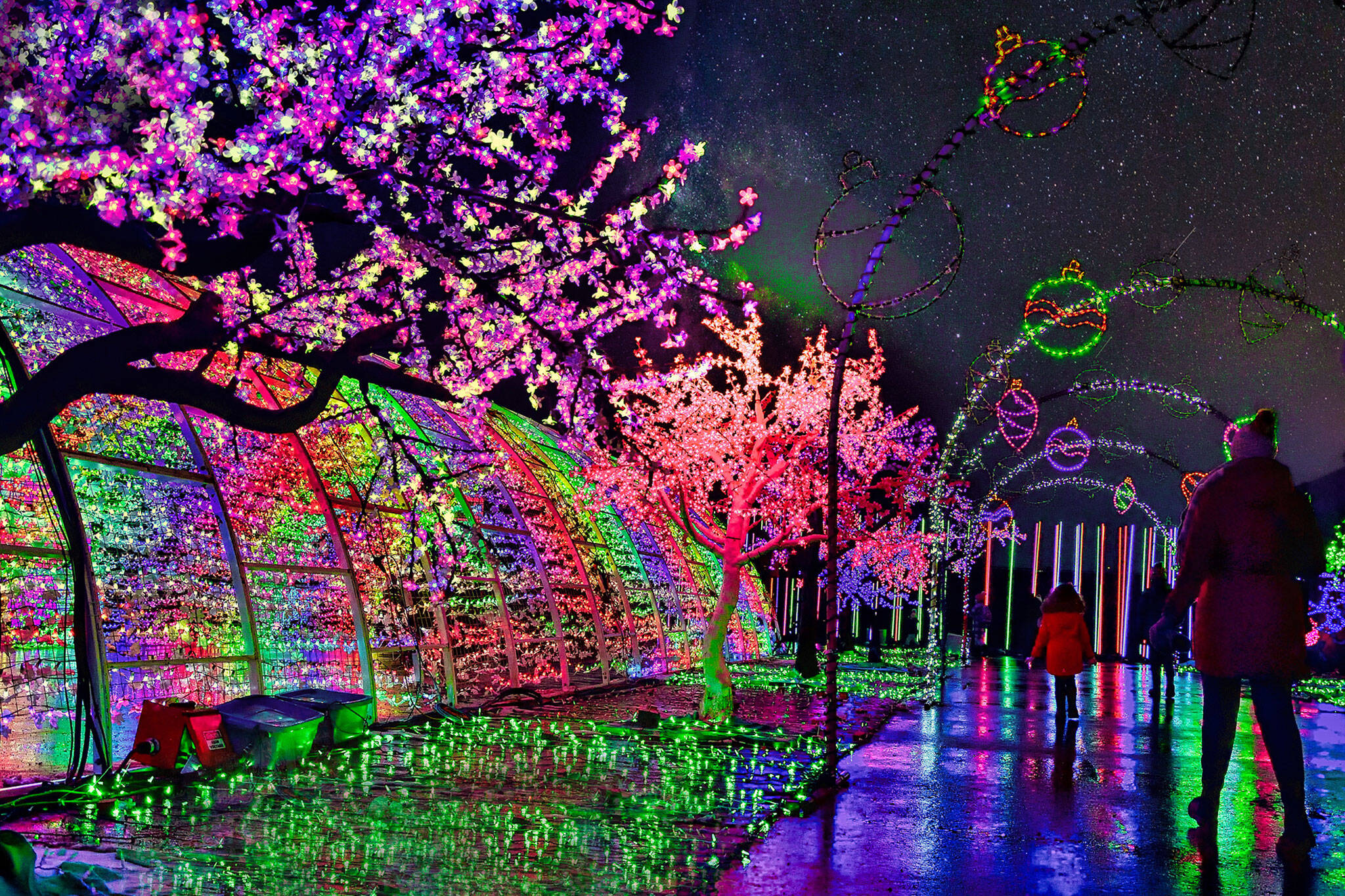 Dazzling lights festival with Christmas market opening near Toronto