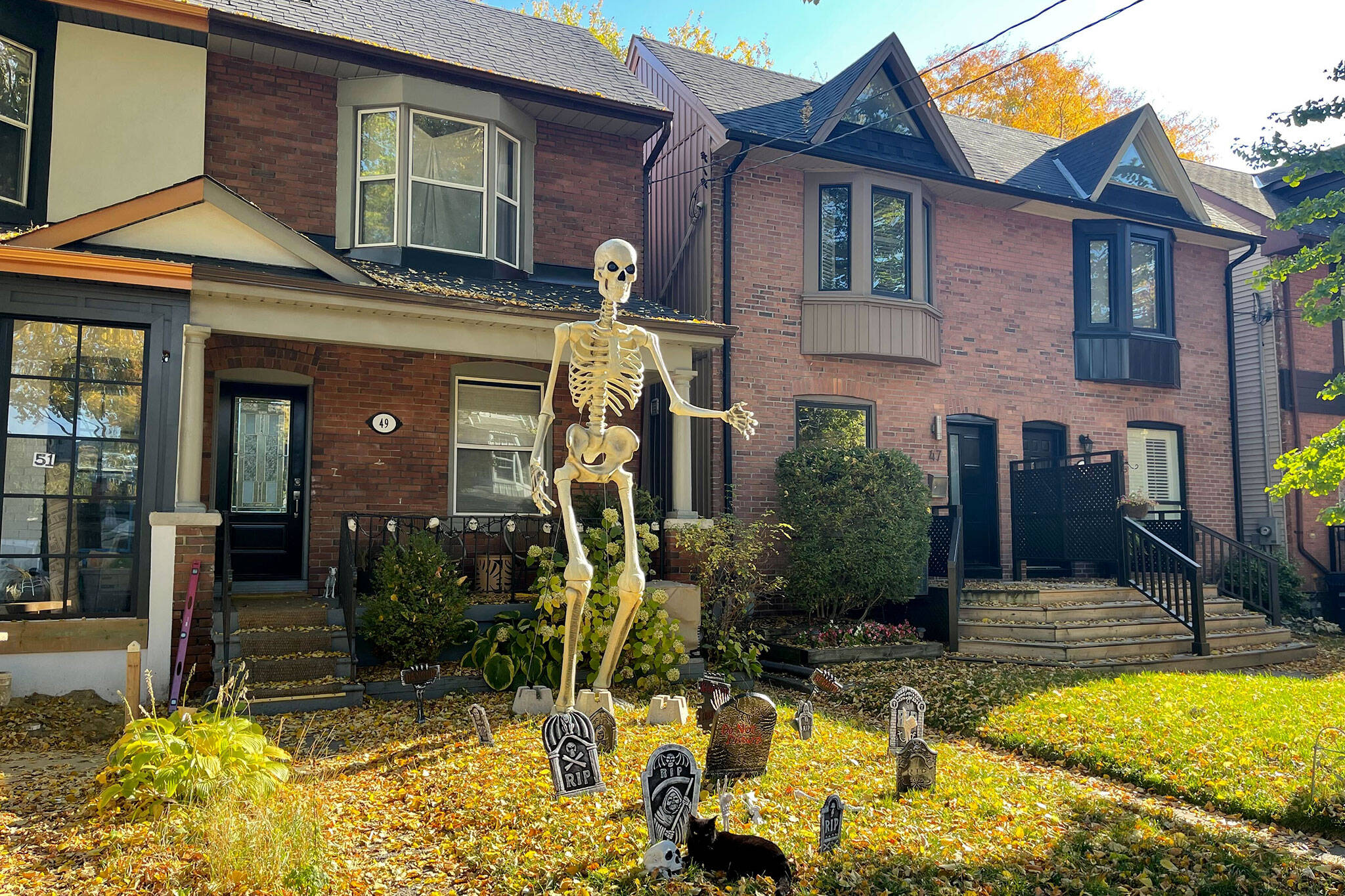 A giant skeleton is the hottest selling item at Home Depot right now