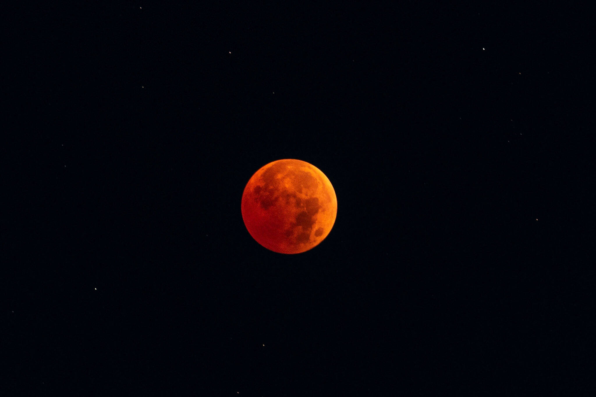Toronto woke up early for a rare lunar eclipse and the photos are