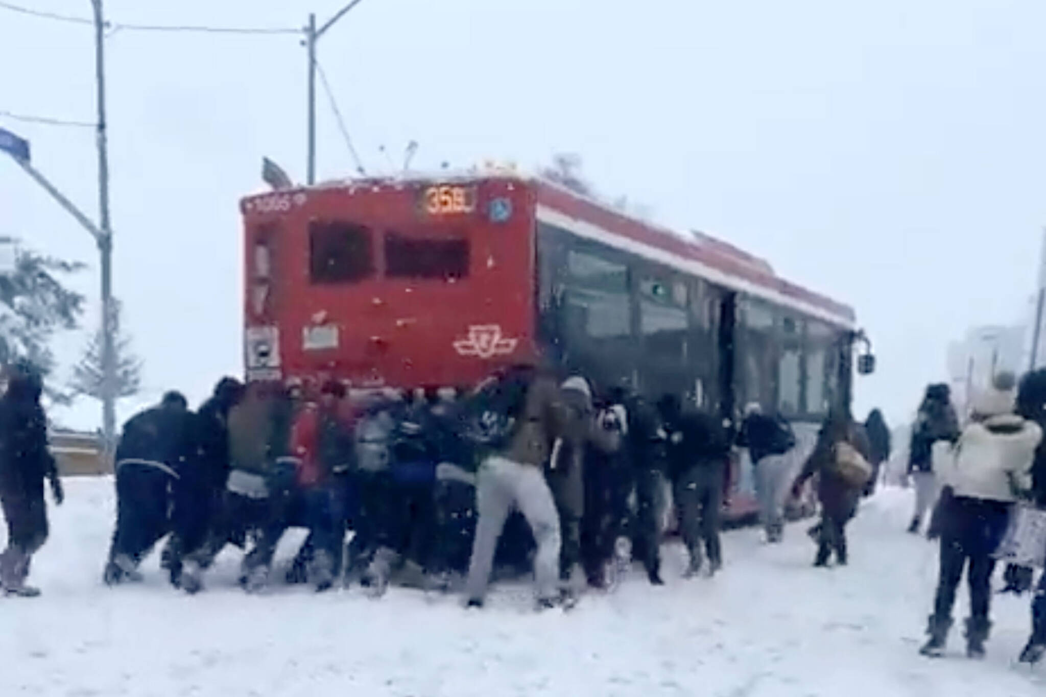 ttc bus stuck in snow