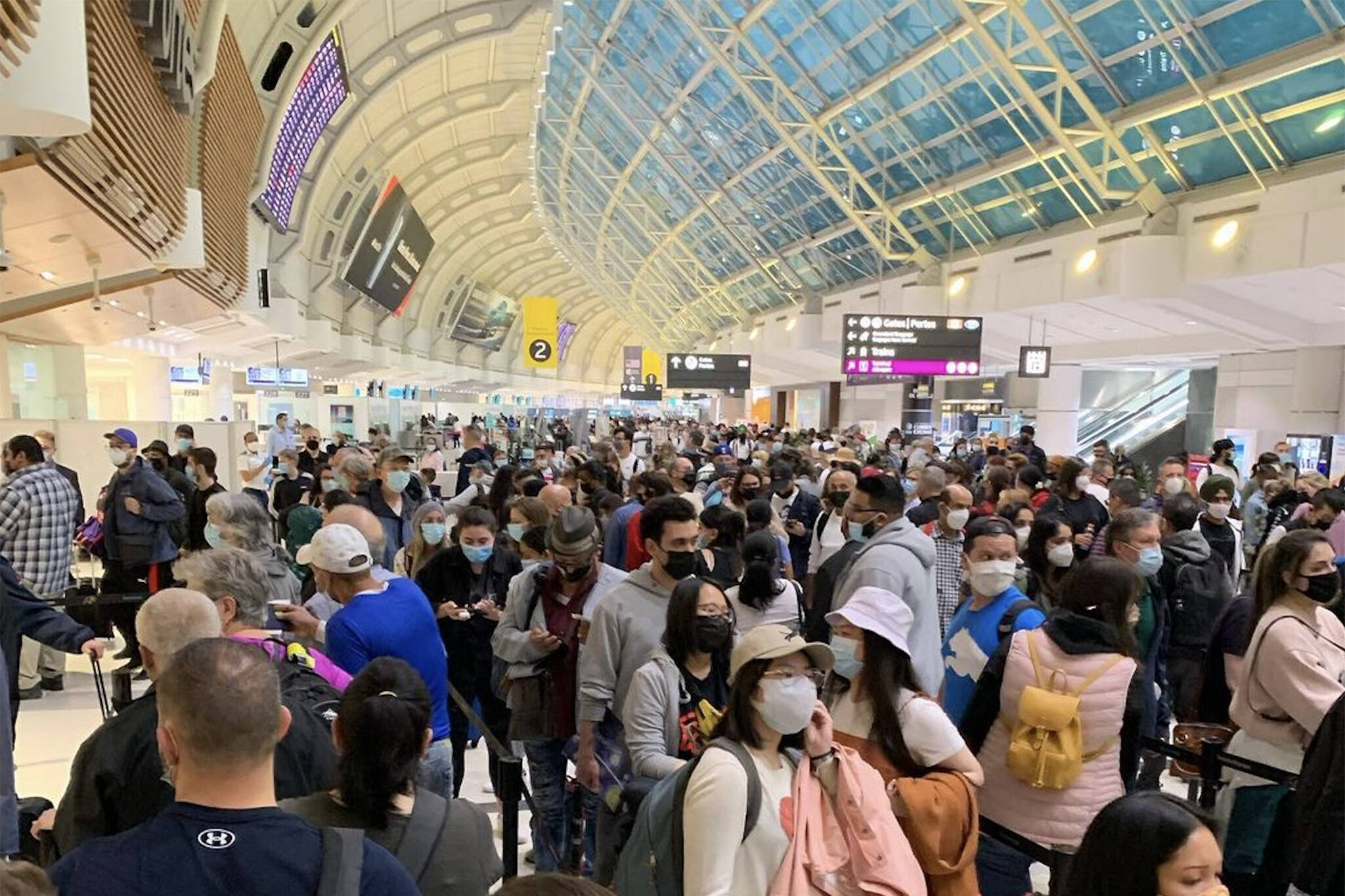 This is what the Toronto airport looked like this week as brutal waits  continue