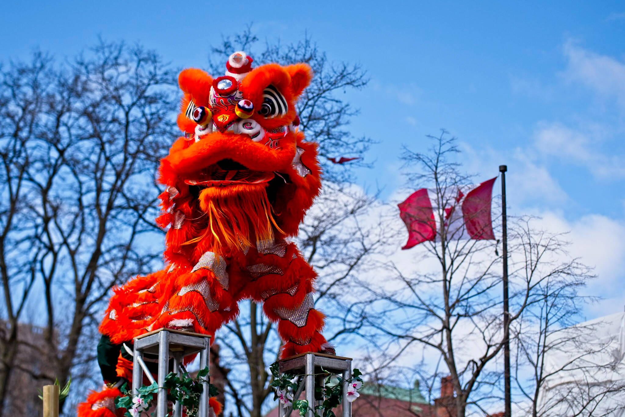 Toronto is getting a massive festival to celebrate the Lunar New Year