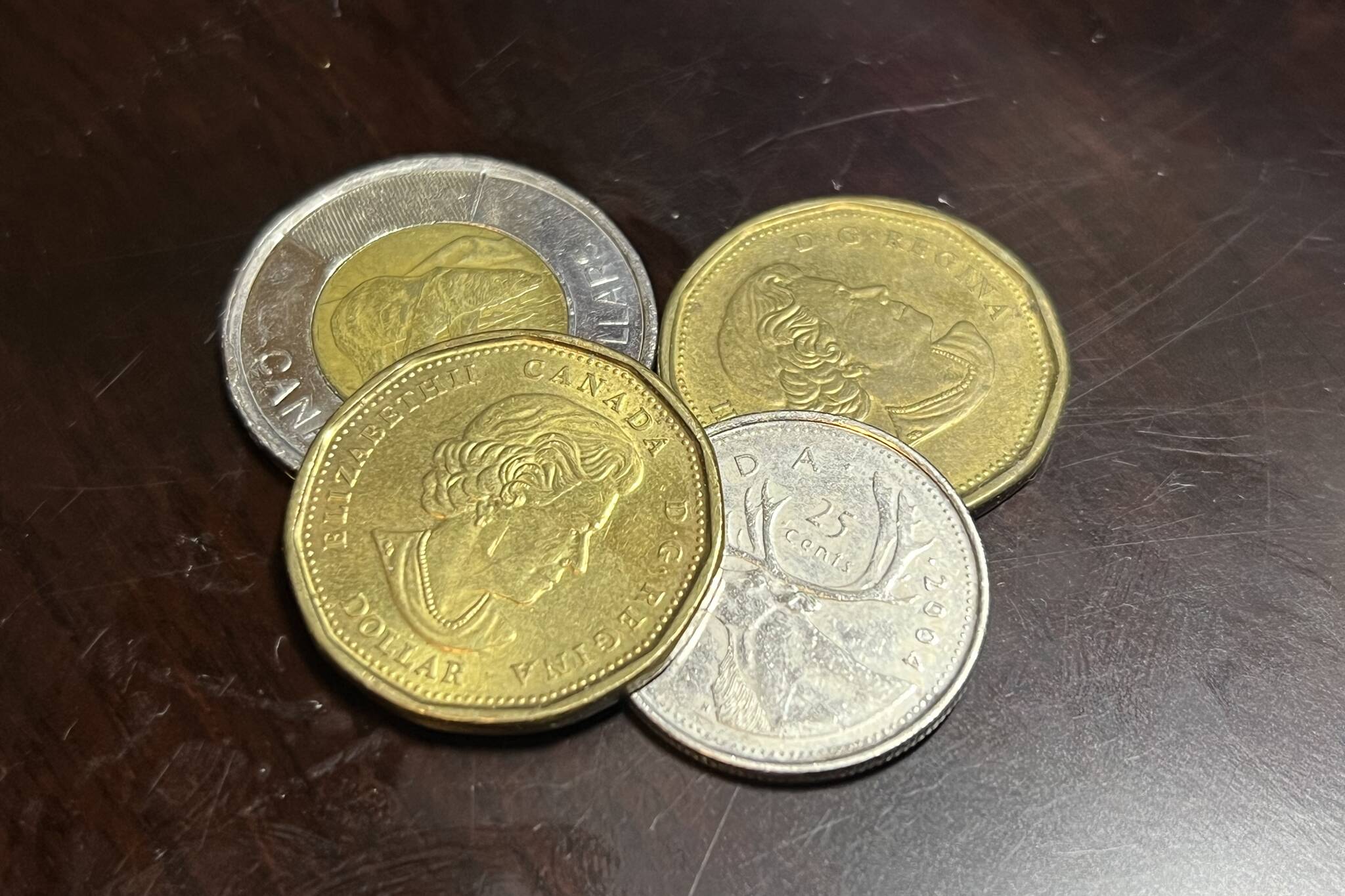 20 dollar coin canada
