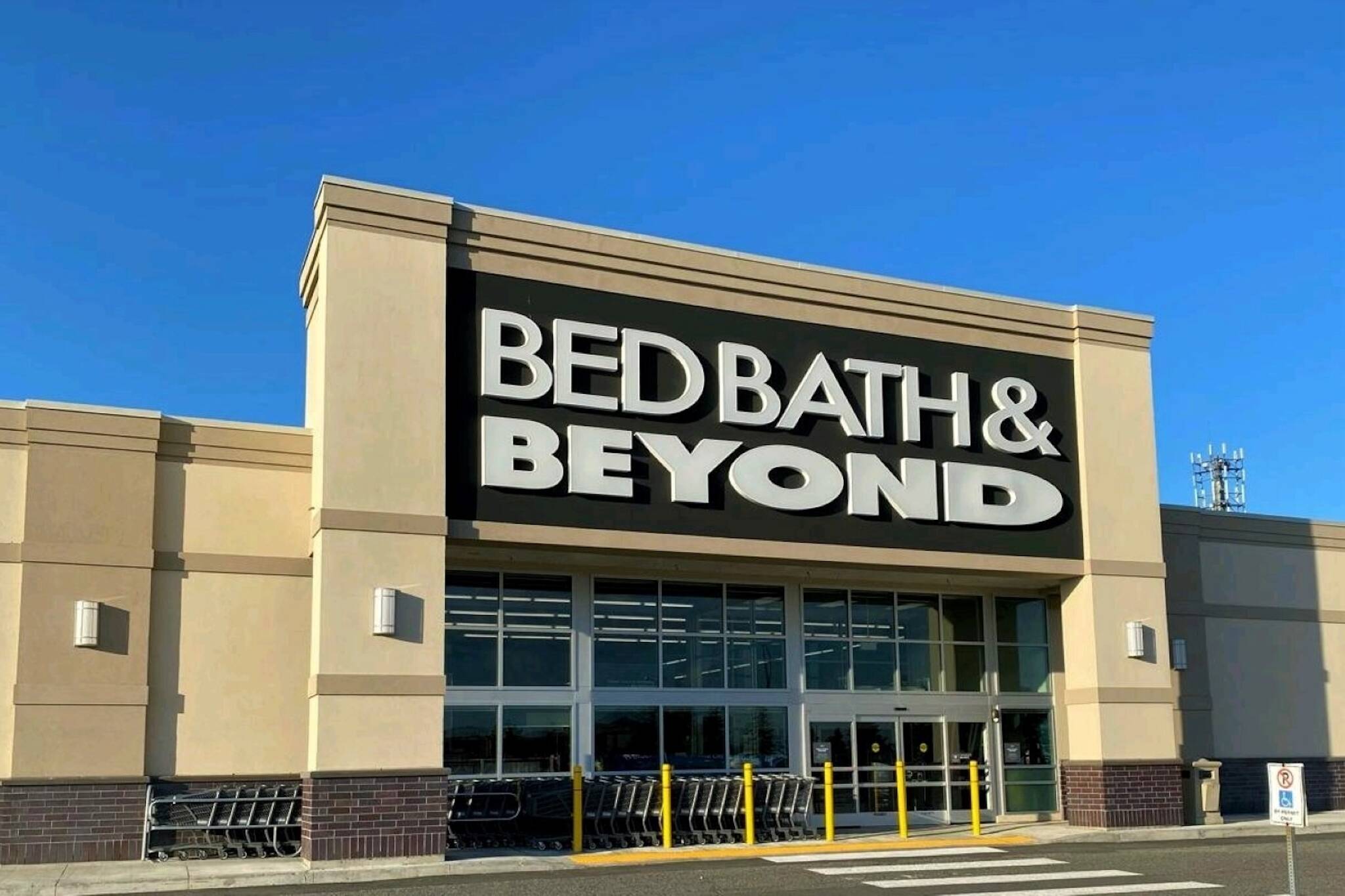 bed bath and beyond mattress protector canada