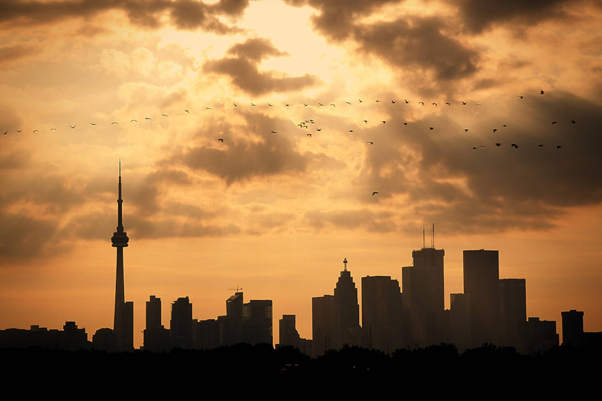 The Ontario Sunshine List just dropped in 2023 and here's who took home