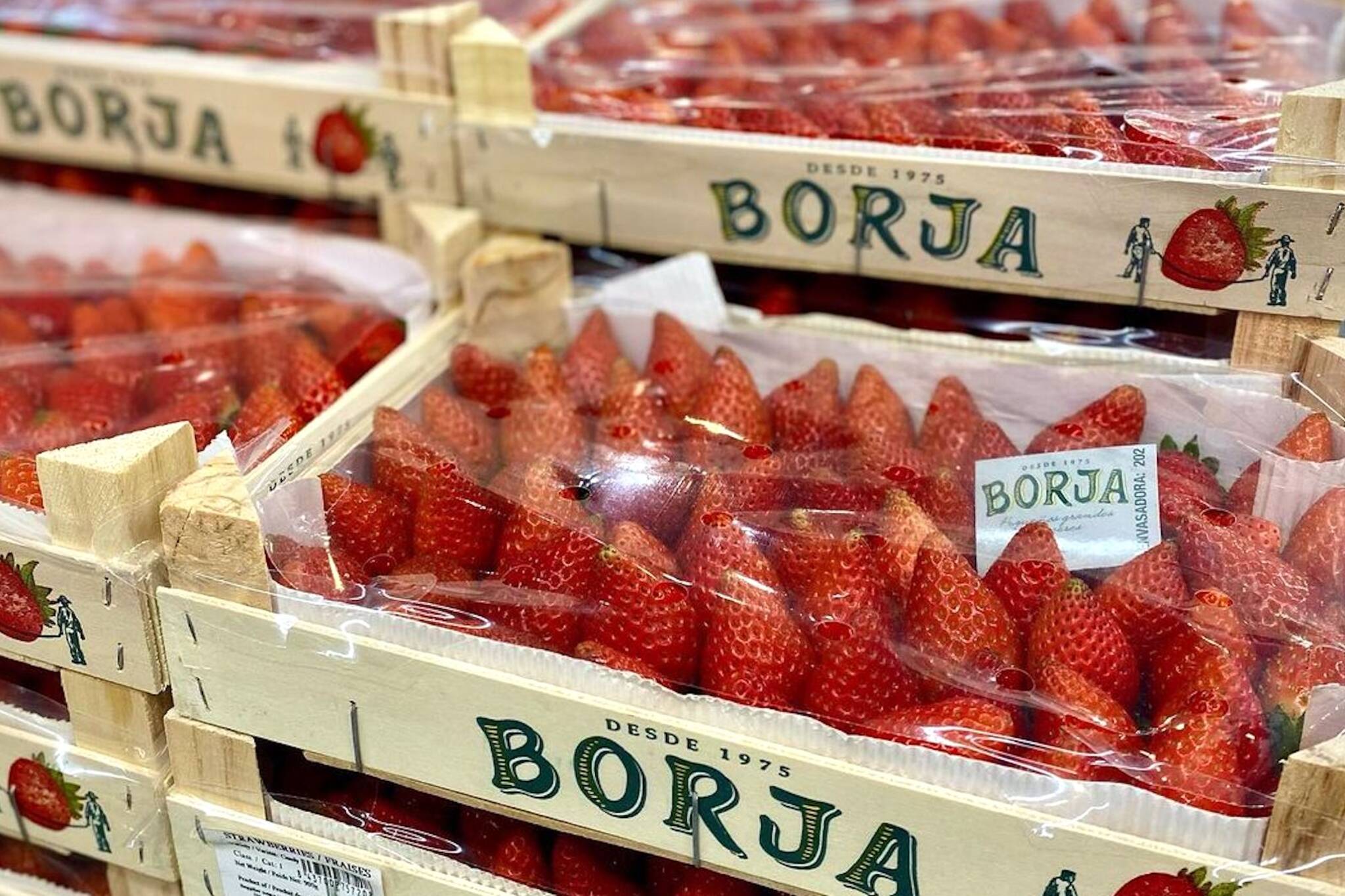 spanish strawberries
