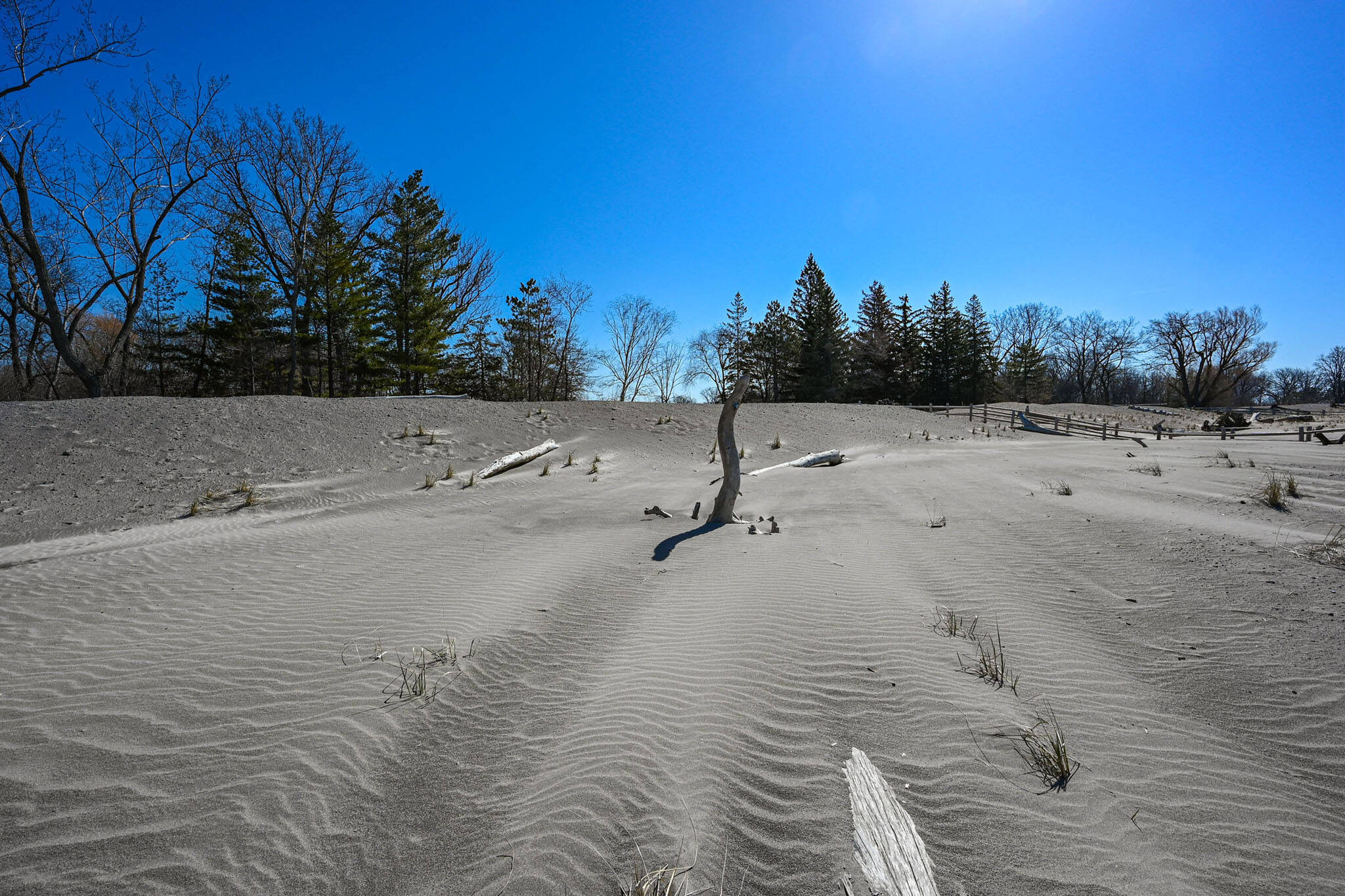 Toronto Islands sand dunes