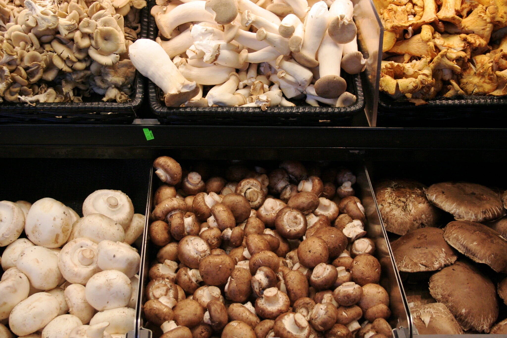 mushroom recall canada