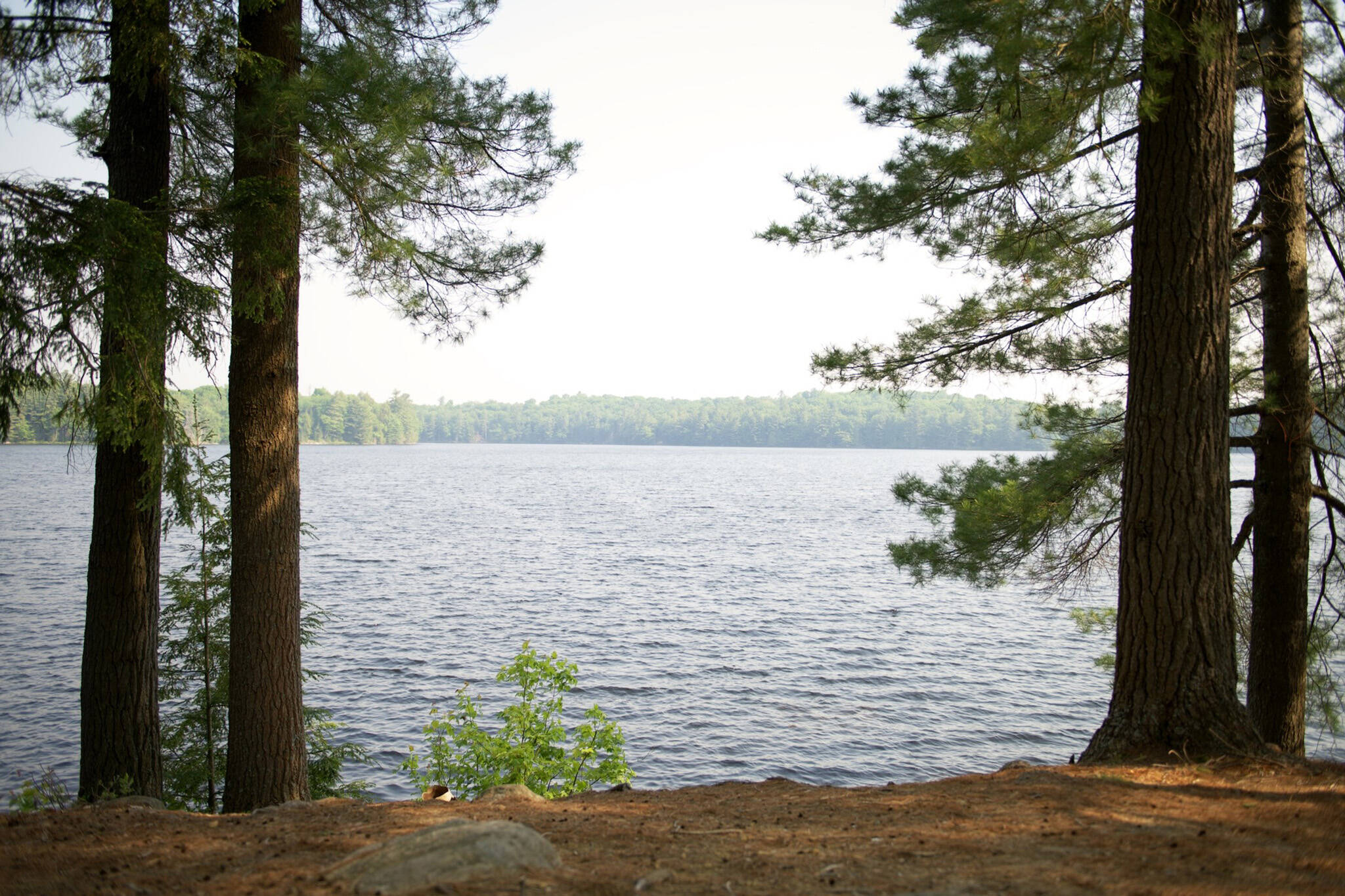 bigwin lake provincial park