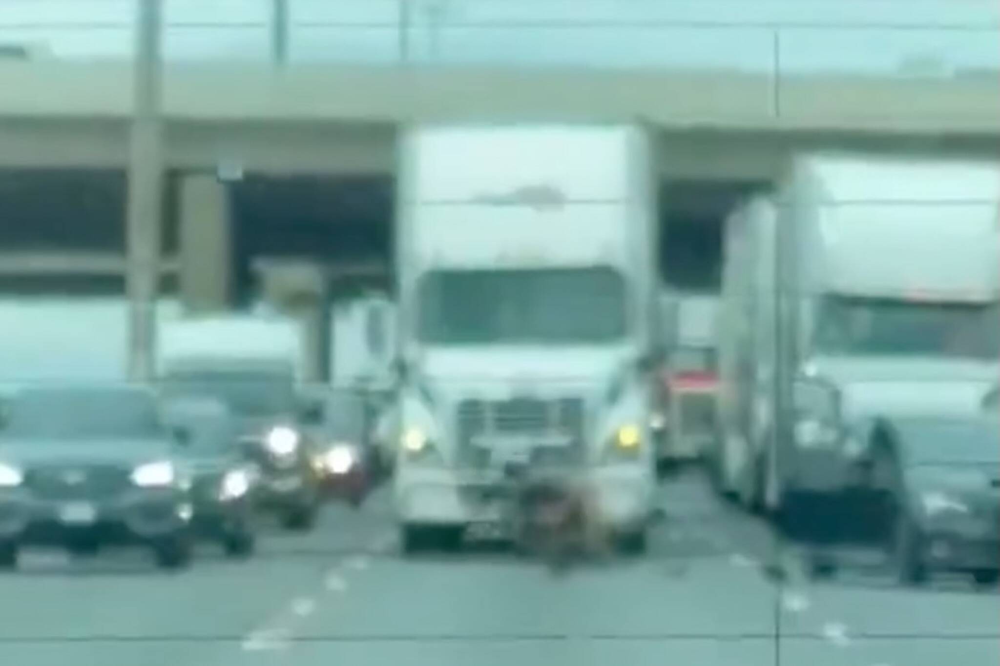 Shocking video shows road rage incident turn into fist fight on Highway 401