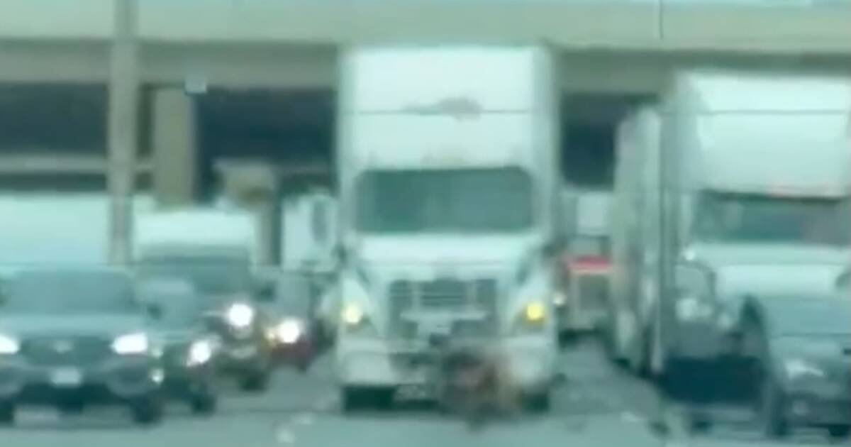 令人震惊的视频显示安大略高速公路上的路怒事件演变成了拳击打斗