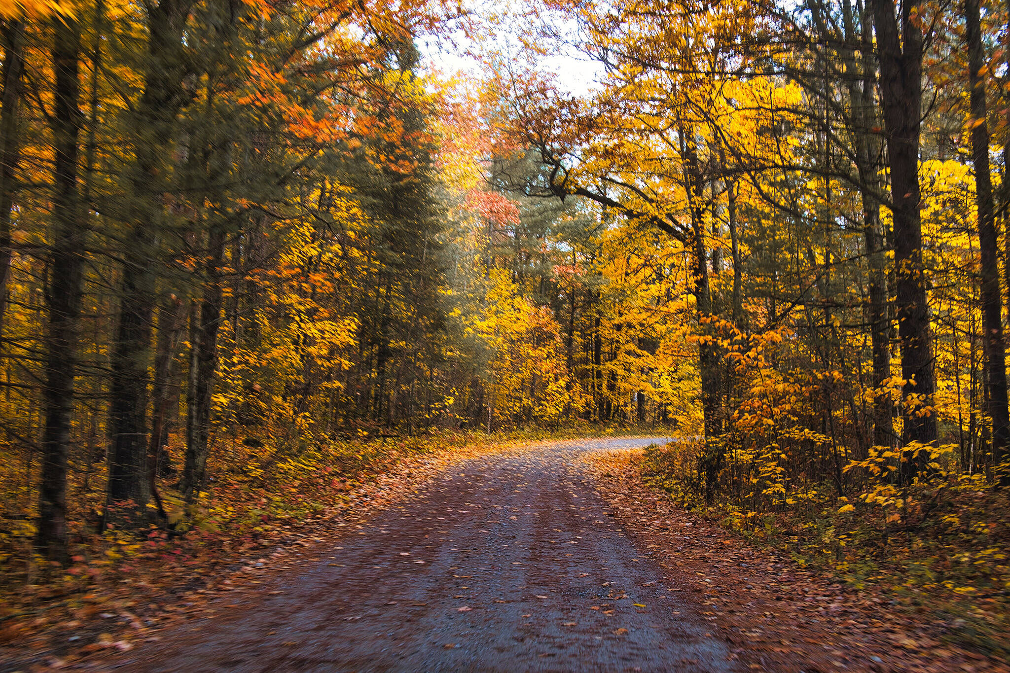 This lakeside drive will take you on a backroad tour of Ontario's fall  colours