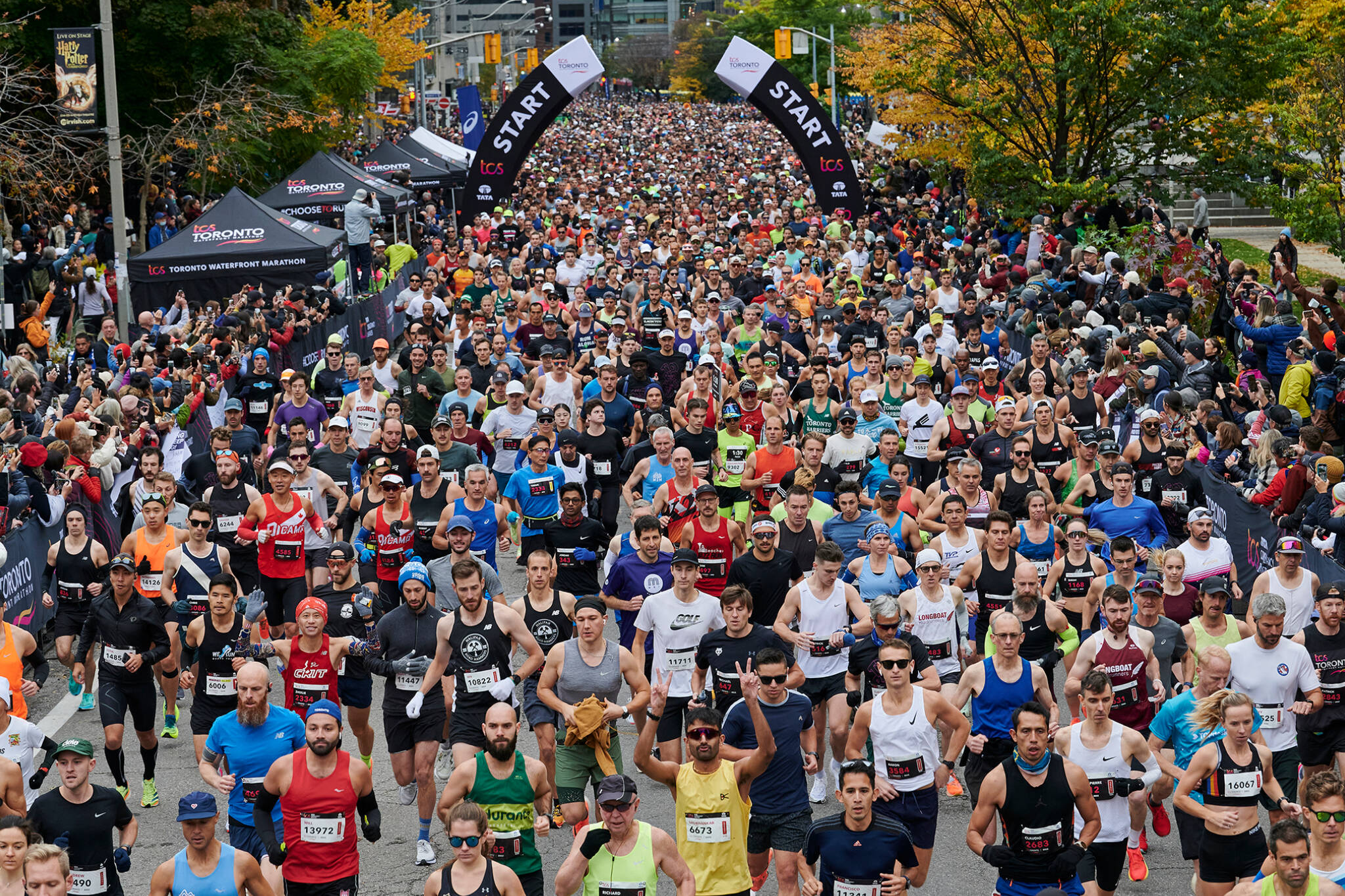 5 ways to catch the 2023 TCS Toronto Waterfront Marathon's live action