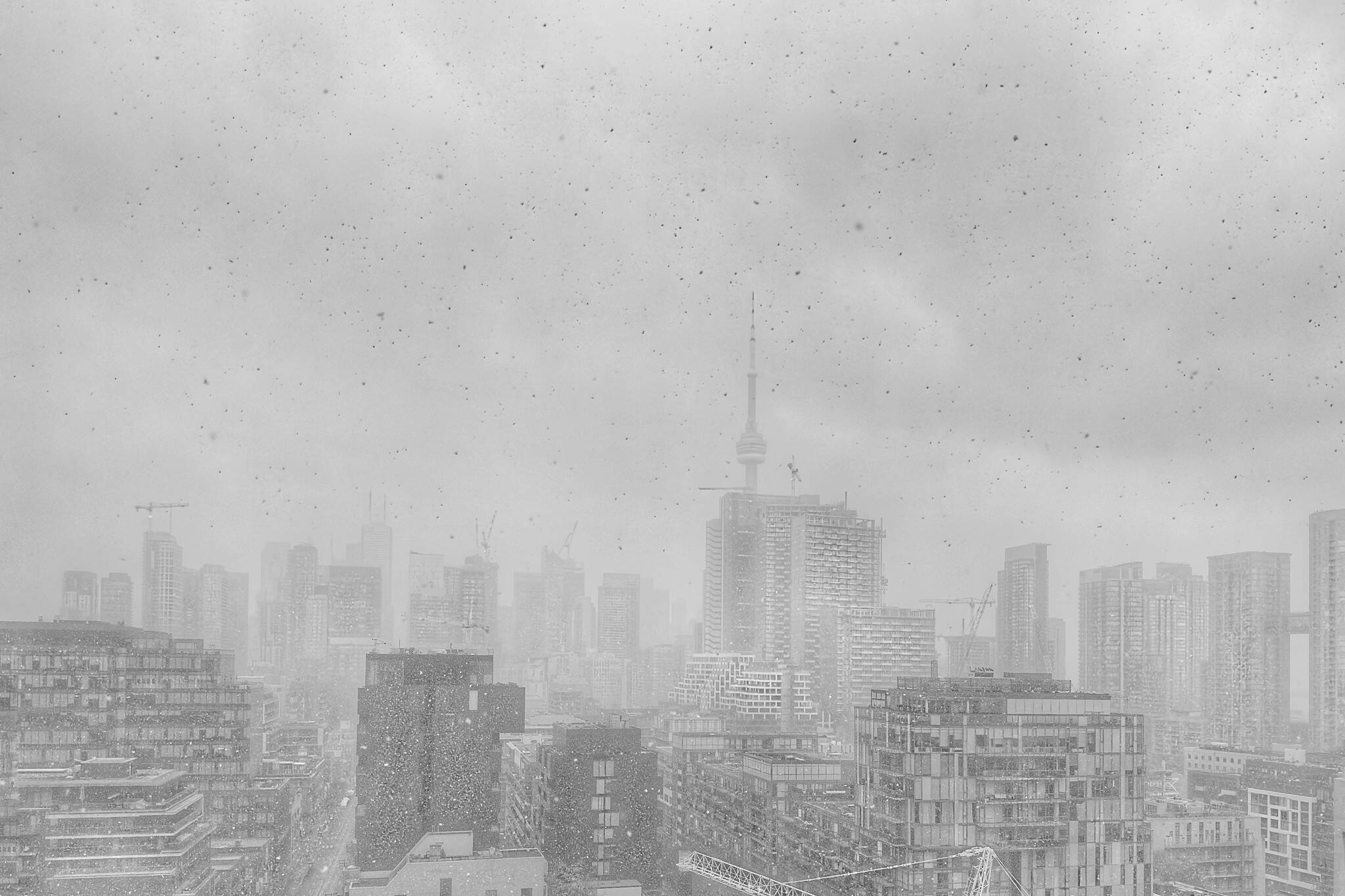 Toronto's official 2024 winter weather forecast just dropped and it'll