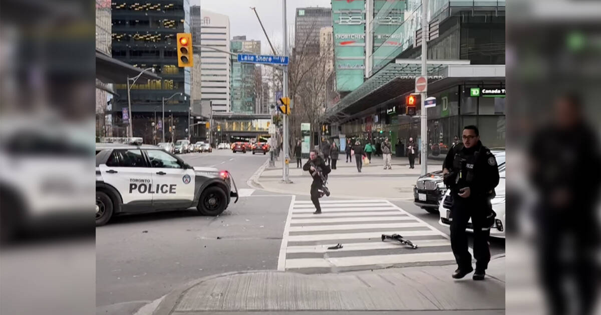 疯狂视频展示了多伦多最糟糕的公寓外，全副武装的警察手忙脚乱的场景
