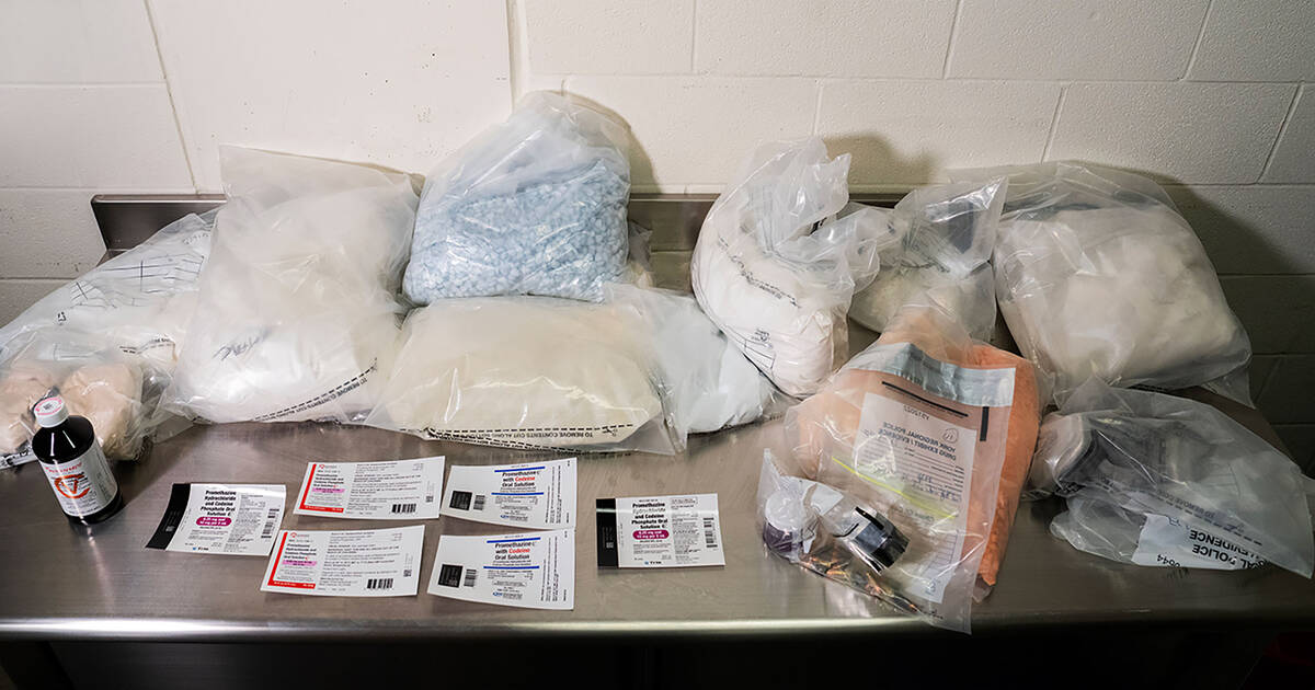 警方在多伦多附近突袭秘密毒品实验室，缴获价值超过100万美元的药丸