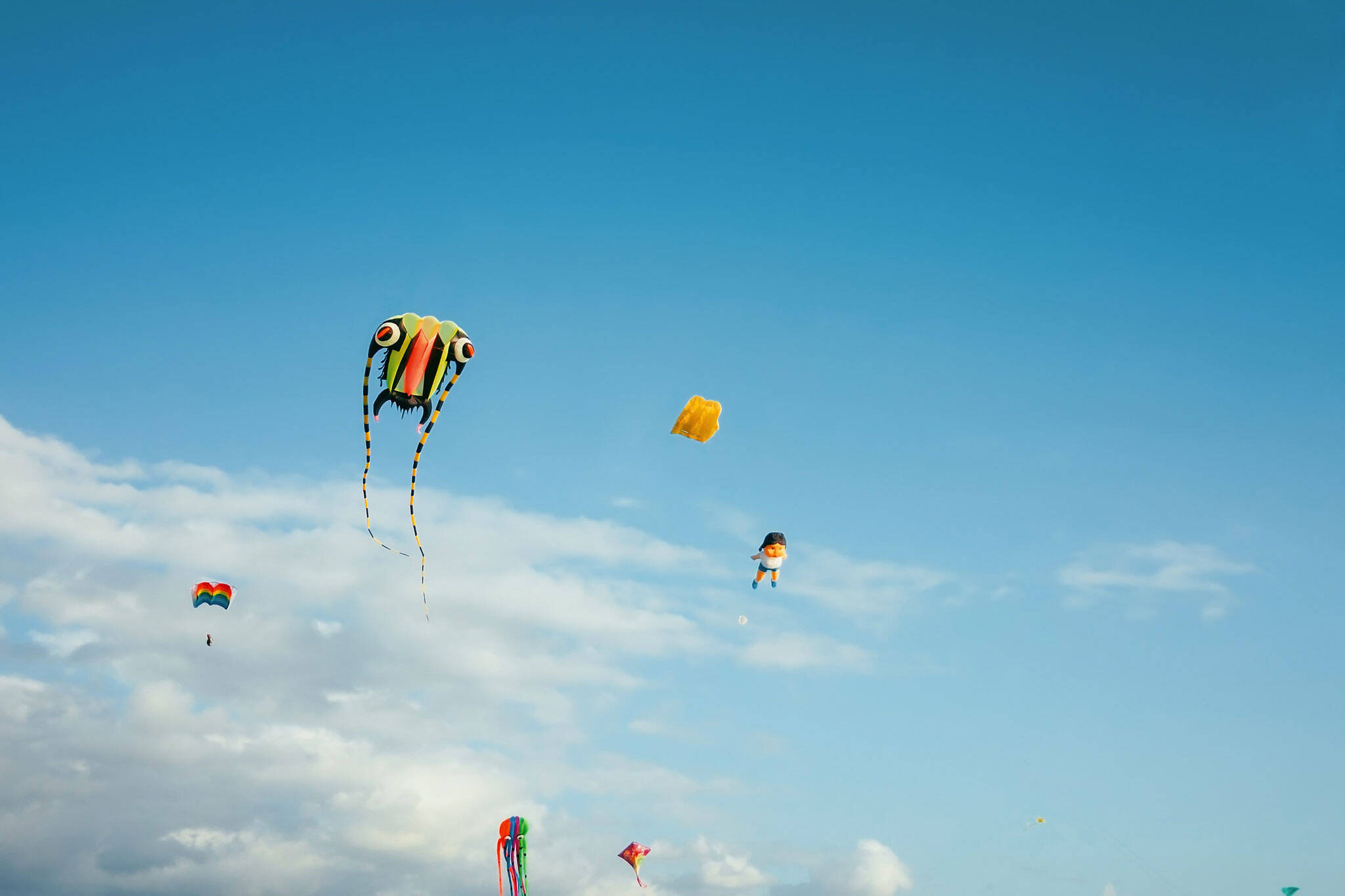kite festival ontario