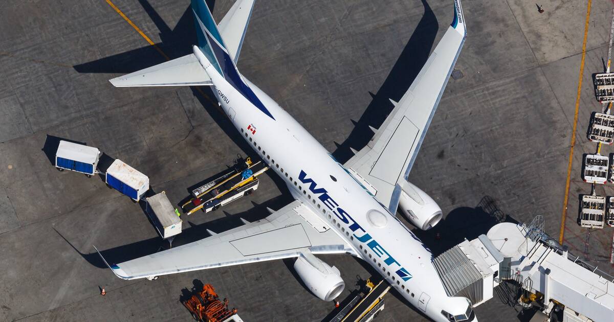 多伦多航班上的旅客尽管行李已归还仍起诉WestJet丢失行李