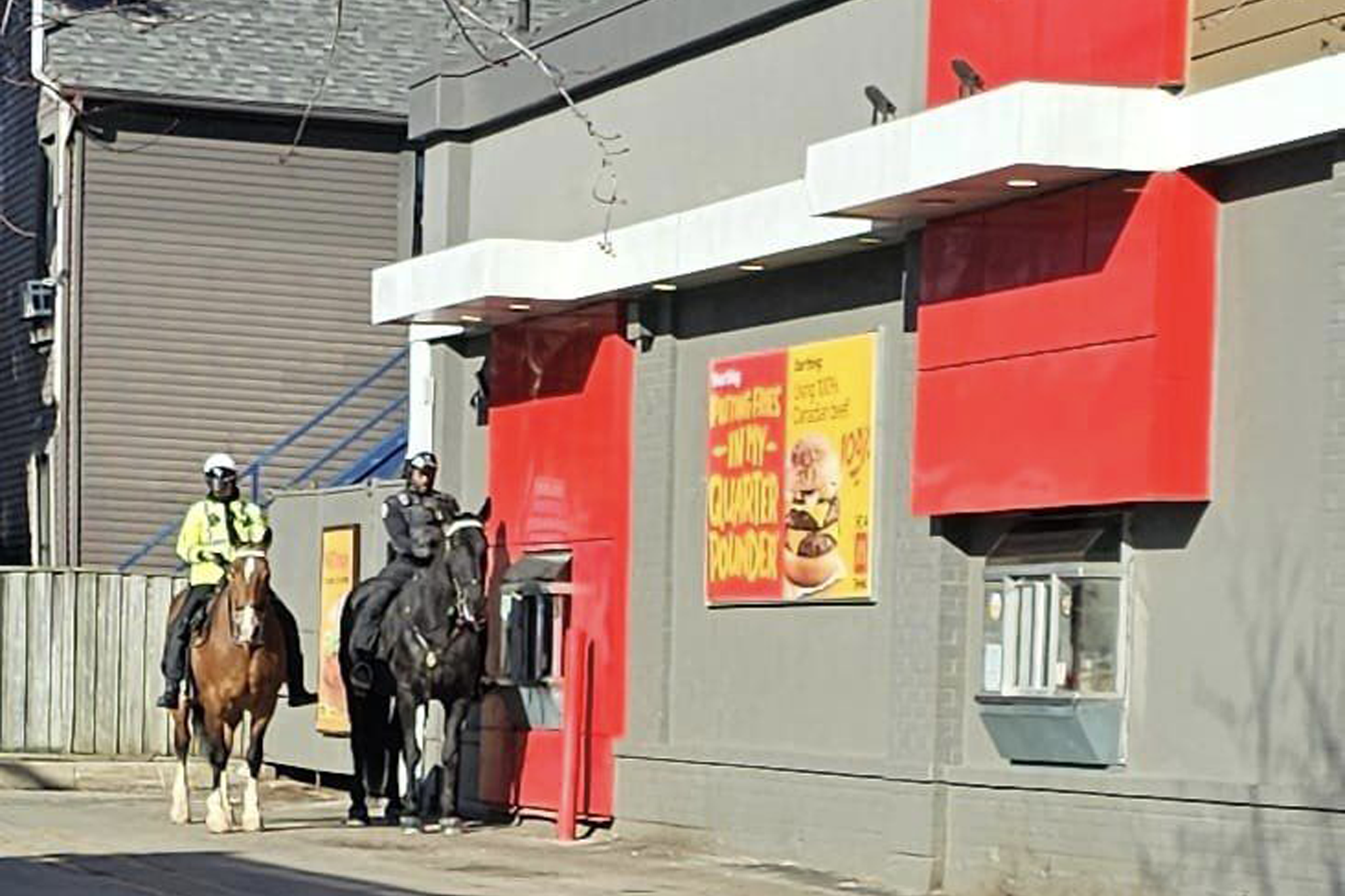 toronto police horses