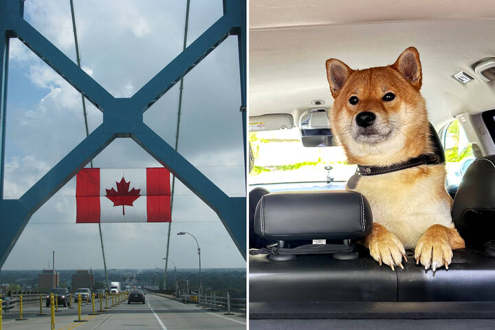 travel to canada pets