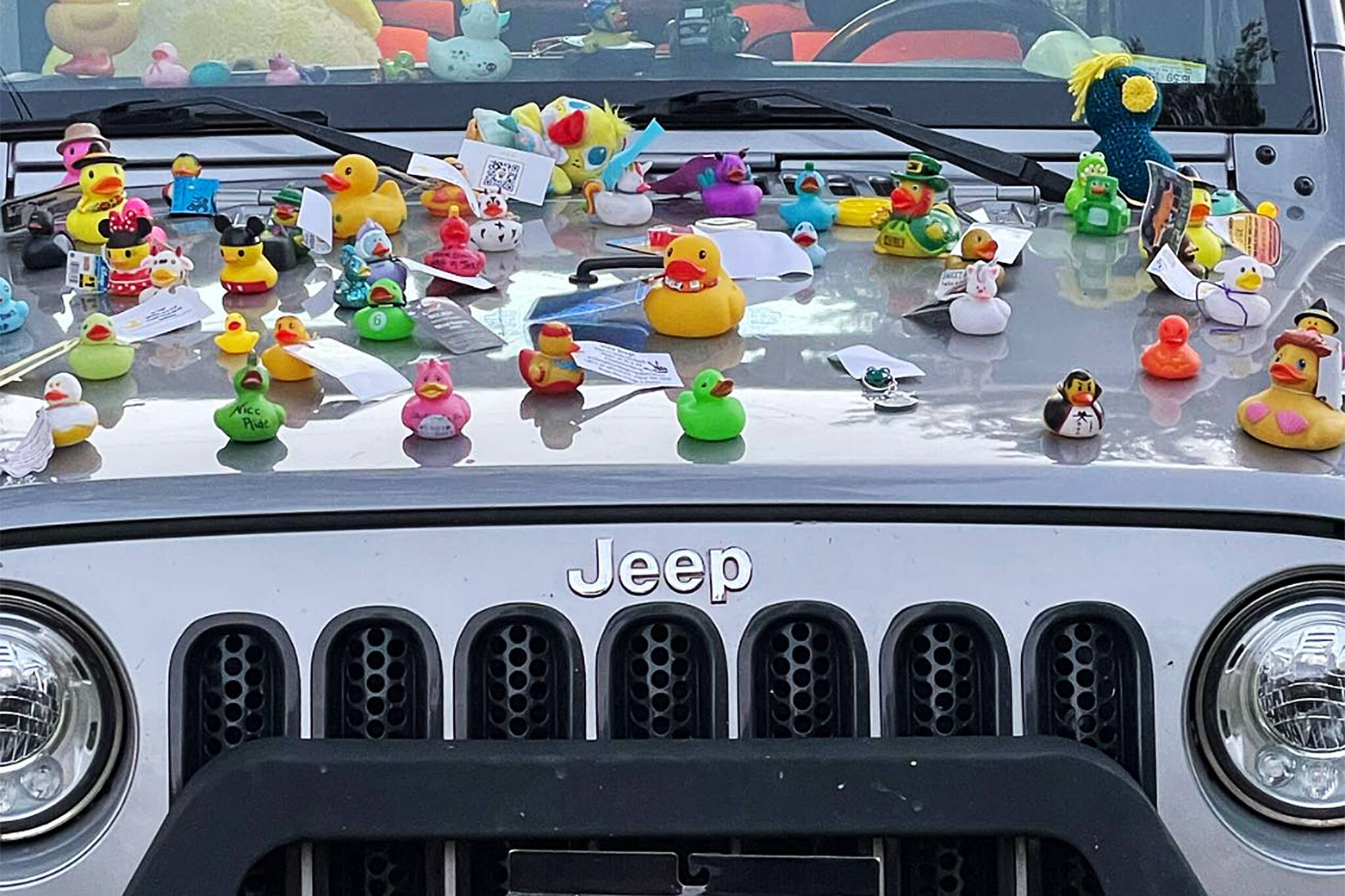 jeep duck