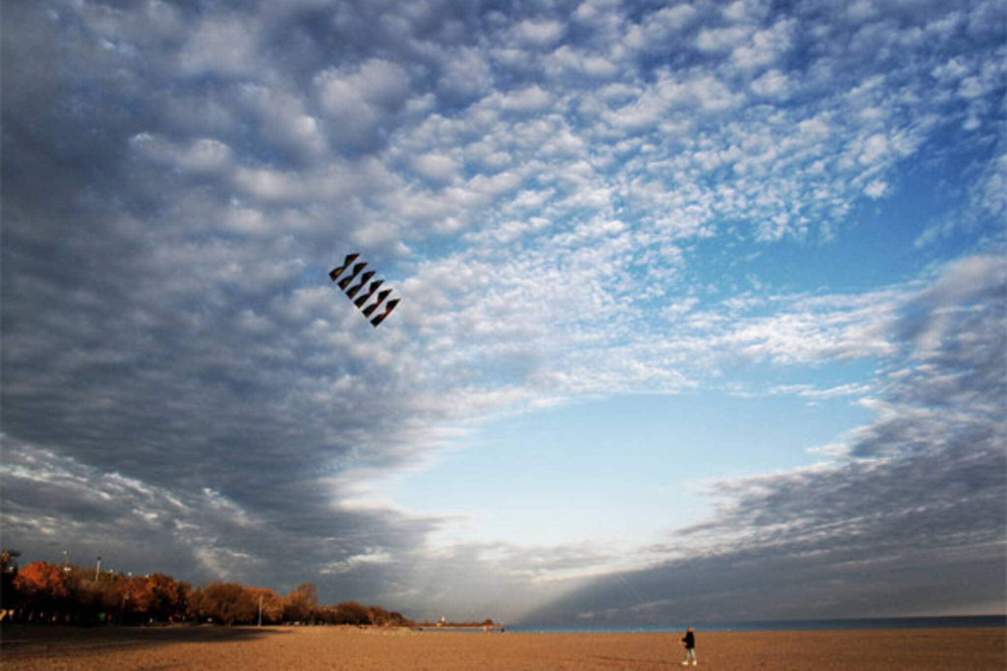fly kite toronto