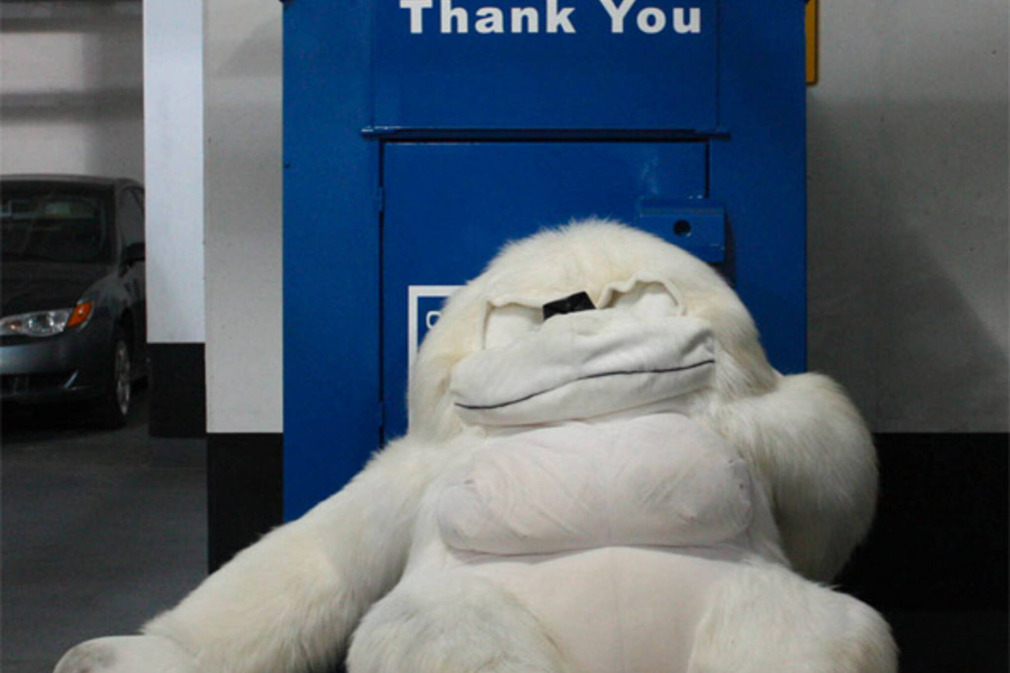 donation box gorilla