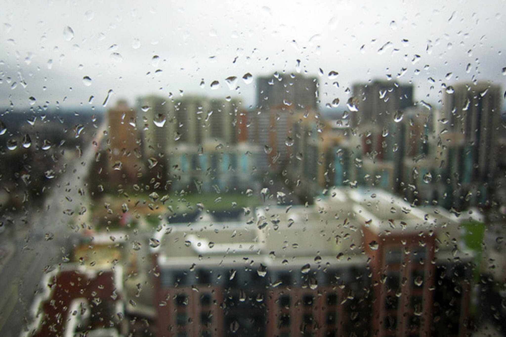 Rainy Toronto