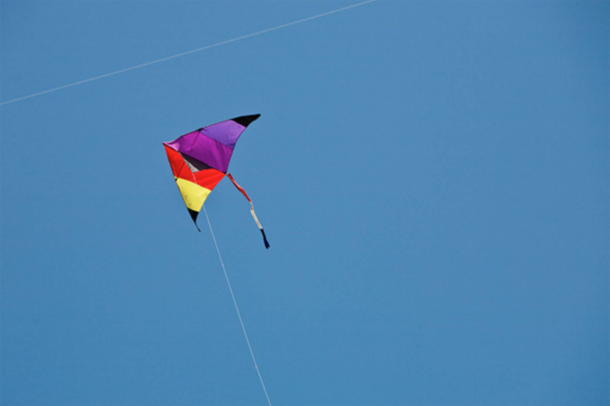 kite ban toronto park