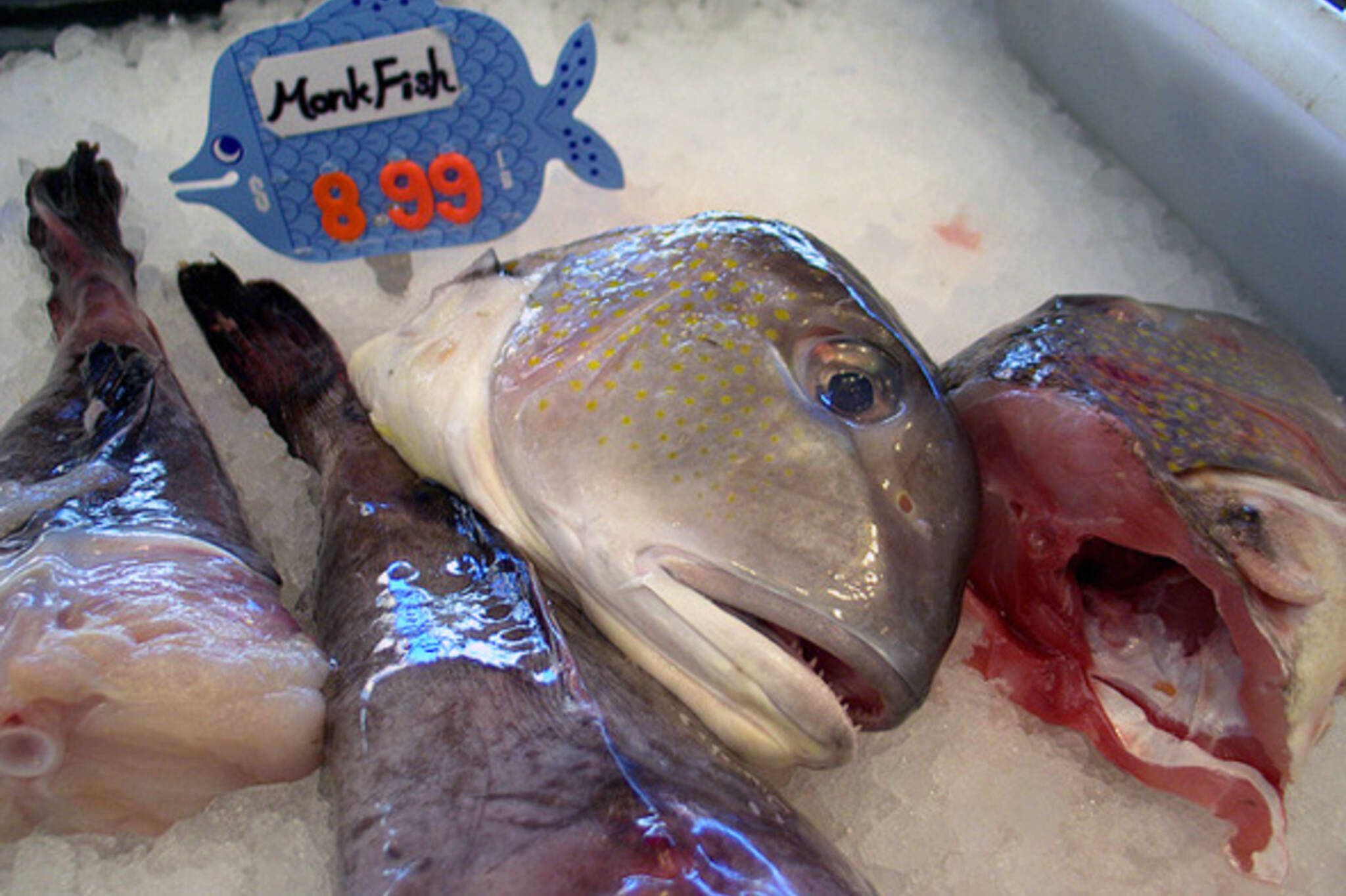 New Seaway Fish Market Rats