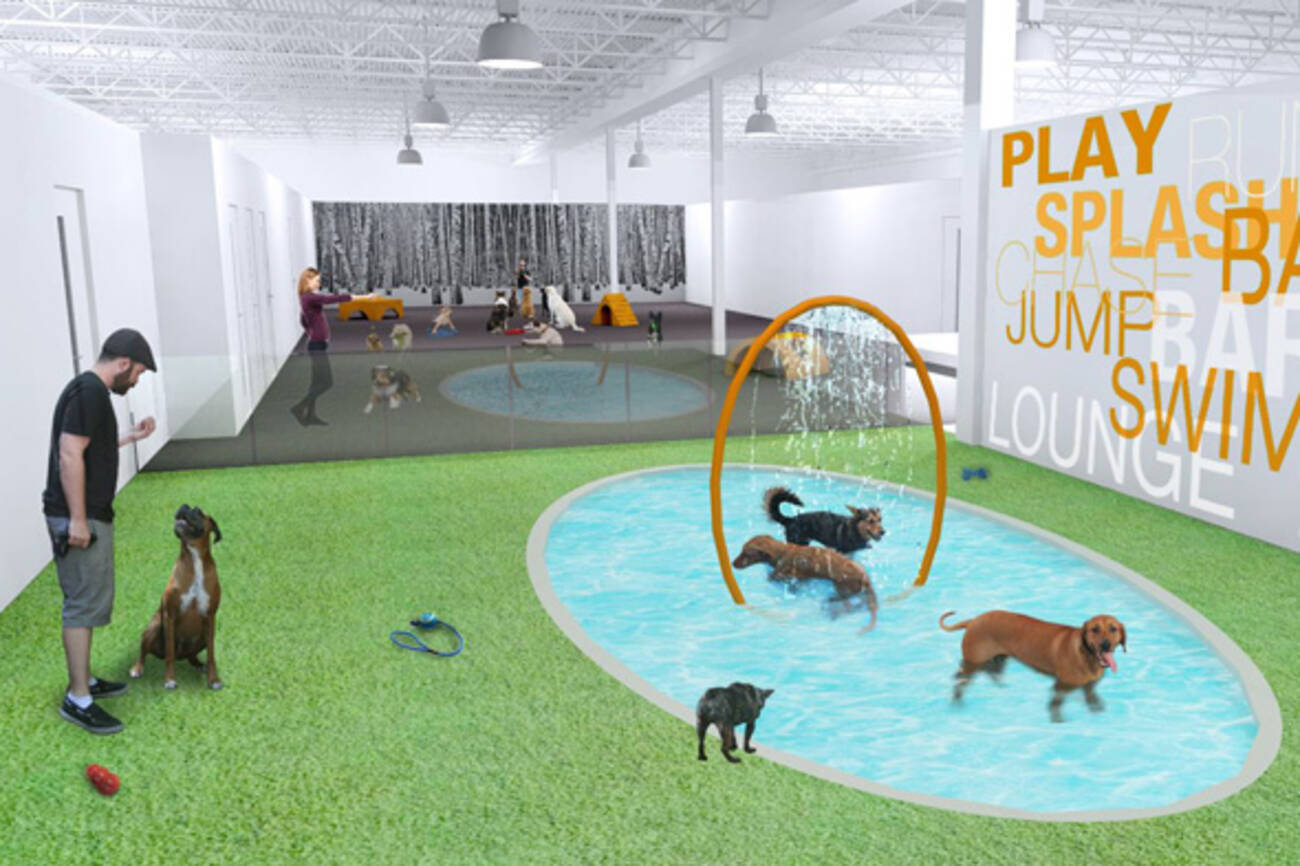 Toronto to get its first luxury dog hotel