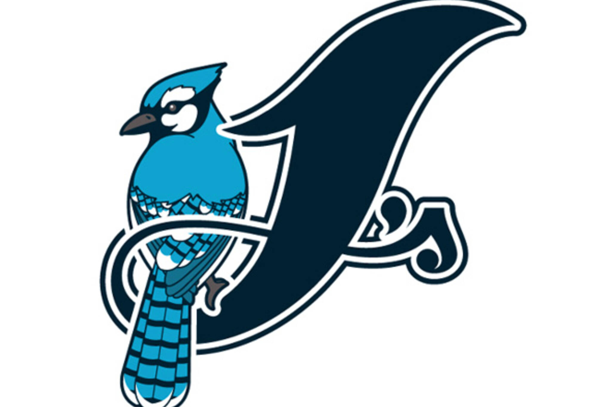 blue jay logo