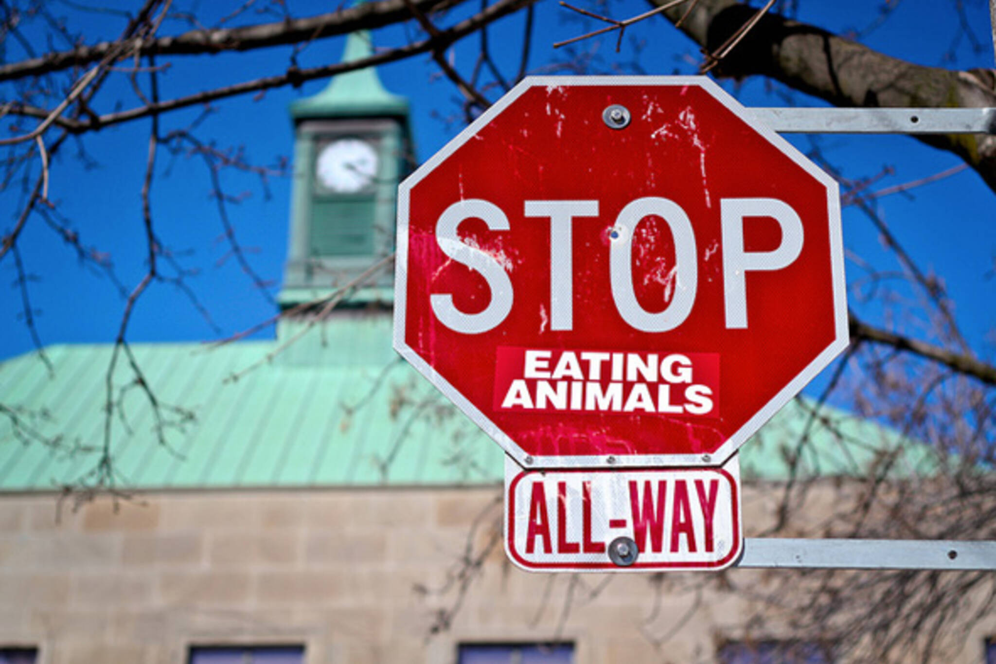 Stop eating animals