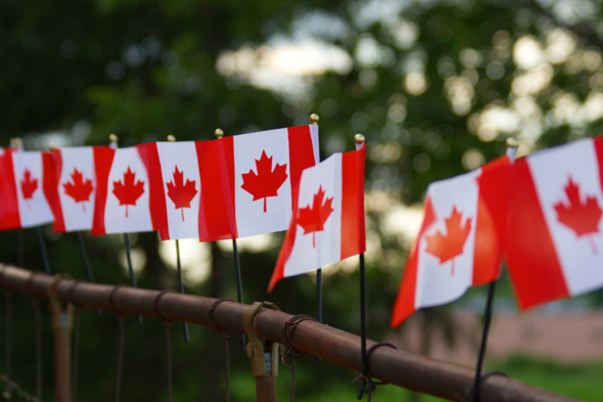 Canada Day Toronto