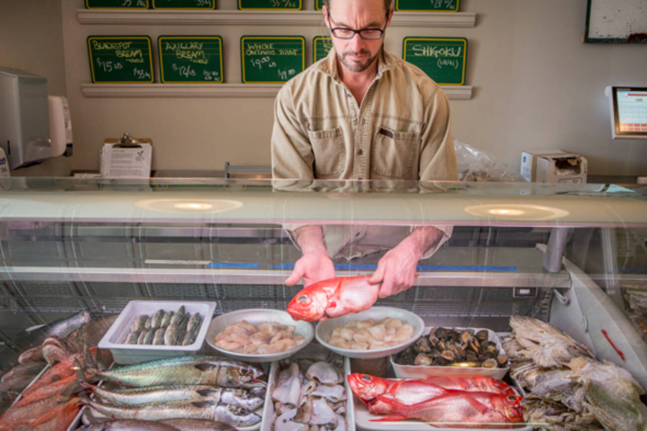 The top 23 fishmongers in Toronto by neighbourhood