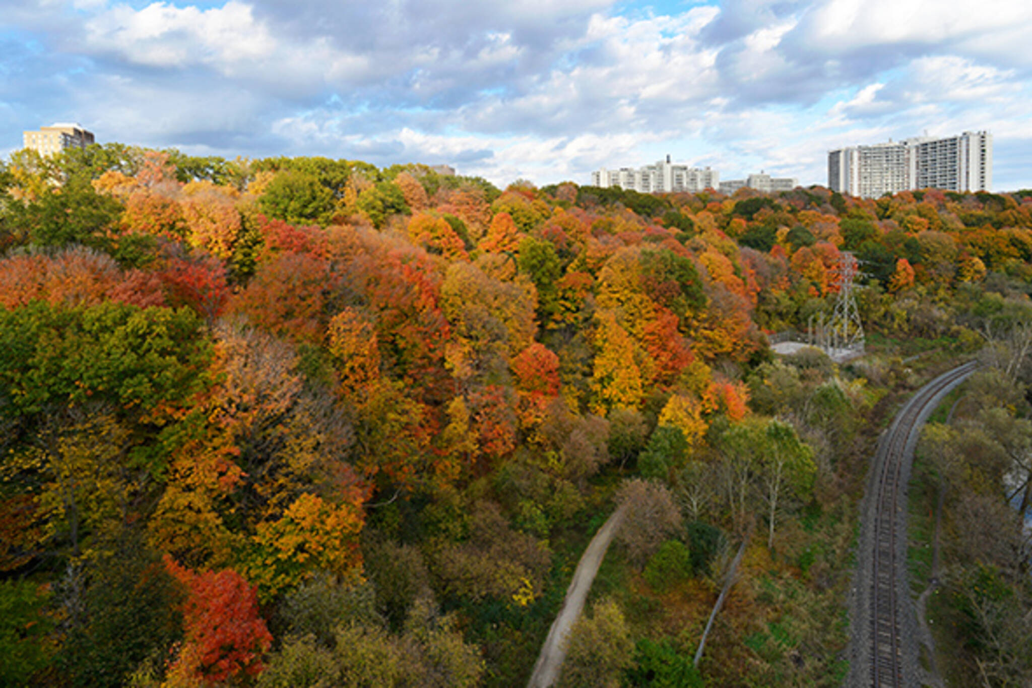 Don Valley Fall