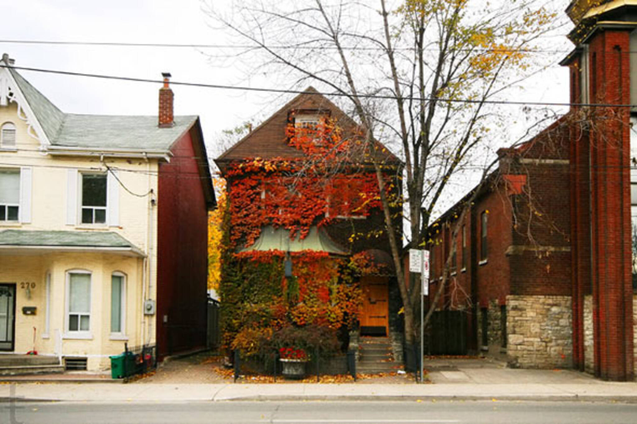 blogto morning brew ivy covered house