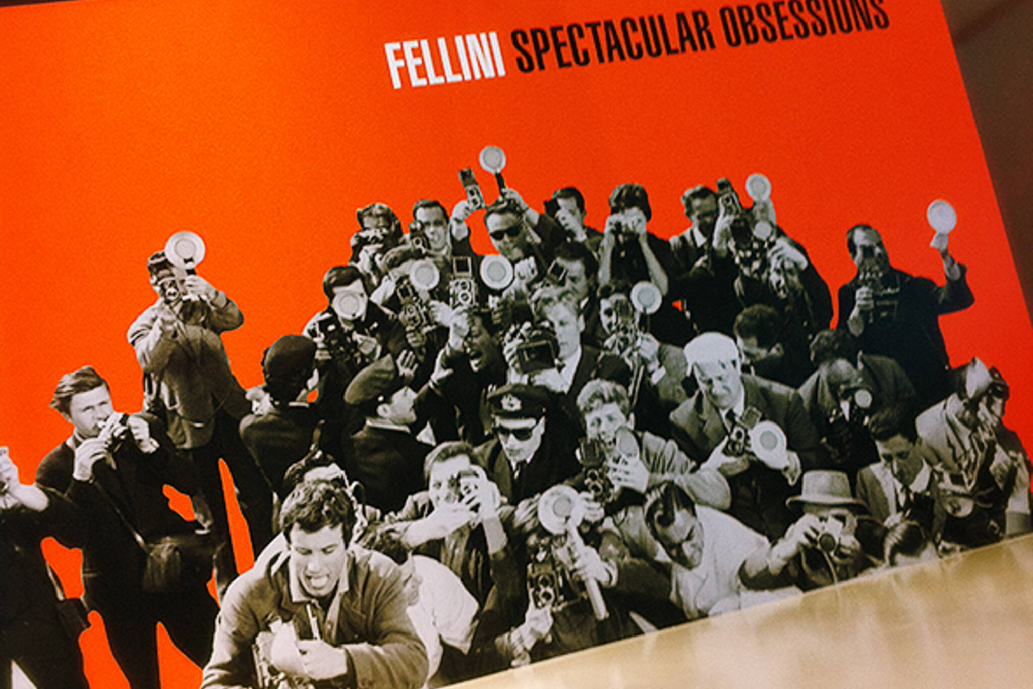 Fellini TIFF Lightbox
