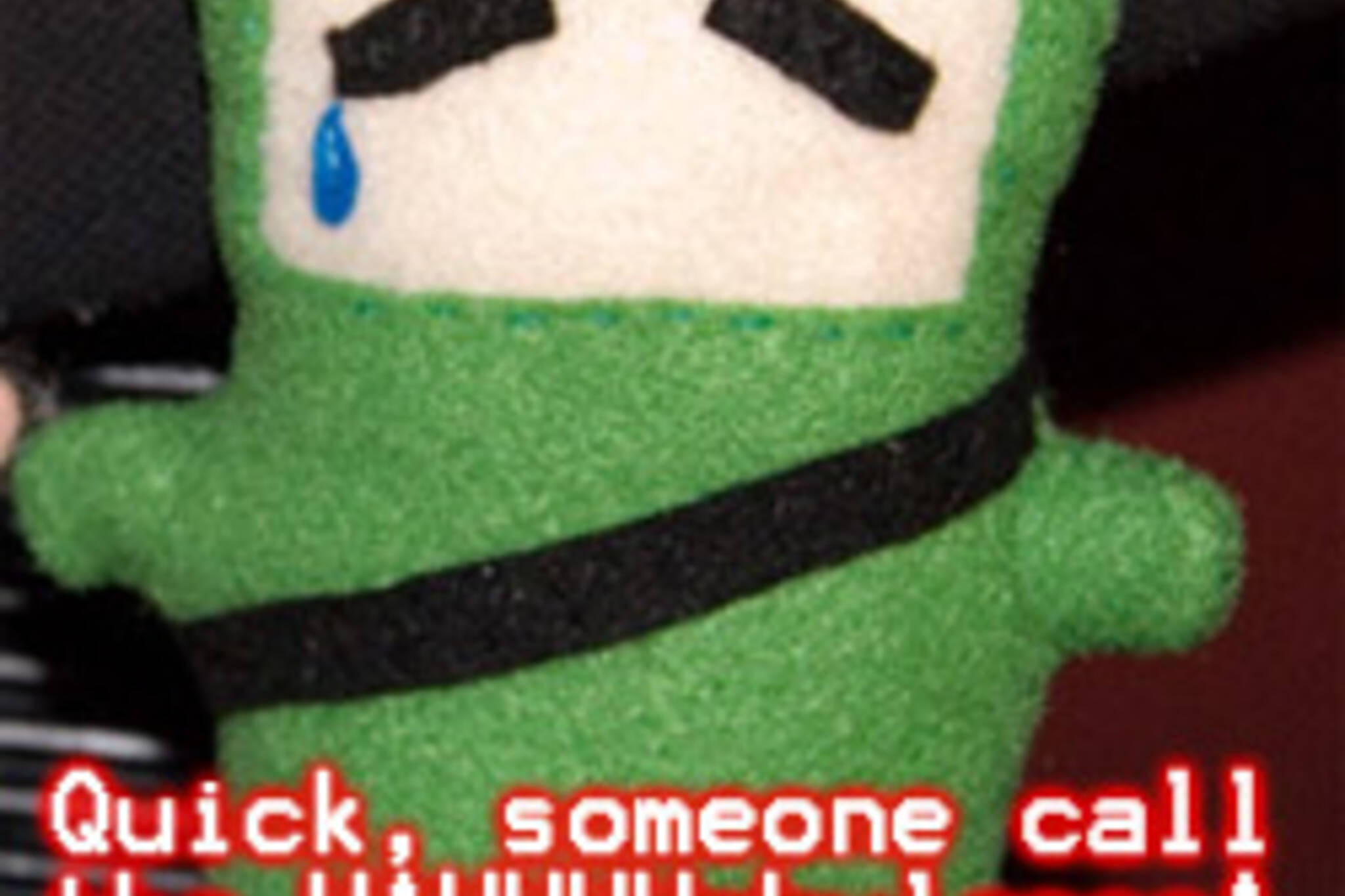 You made sad green ninja even sadder
