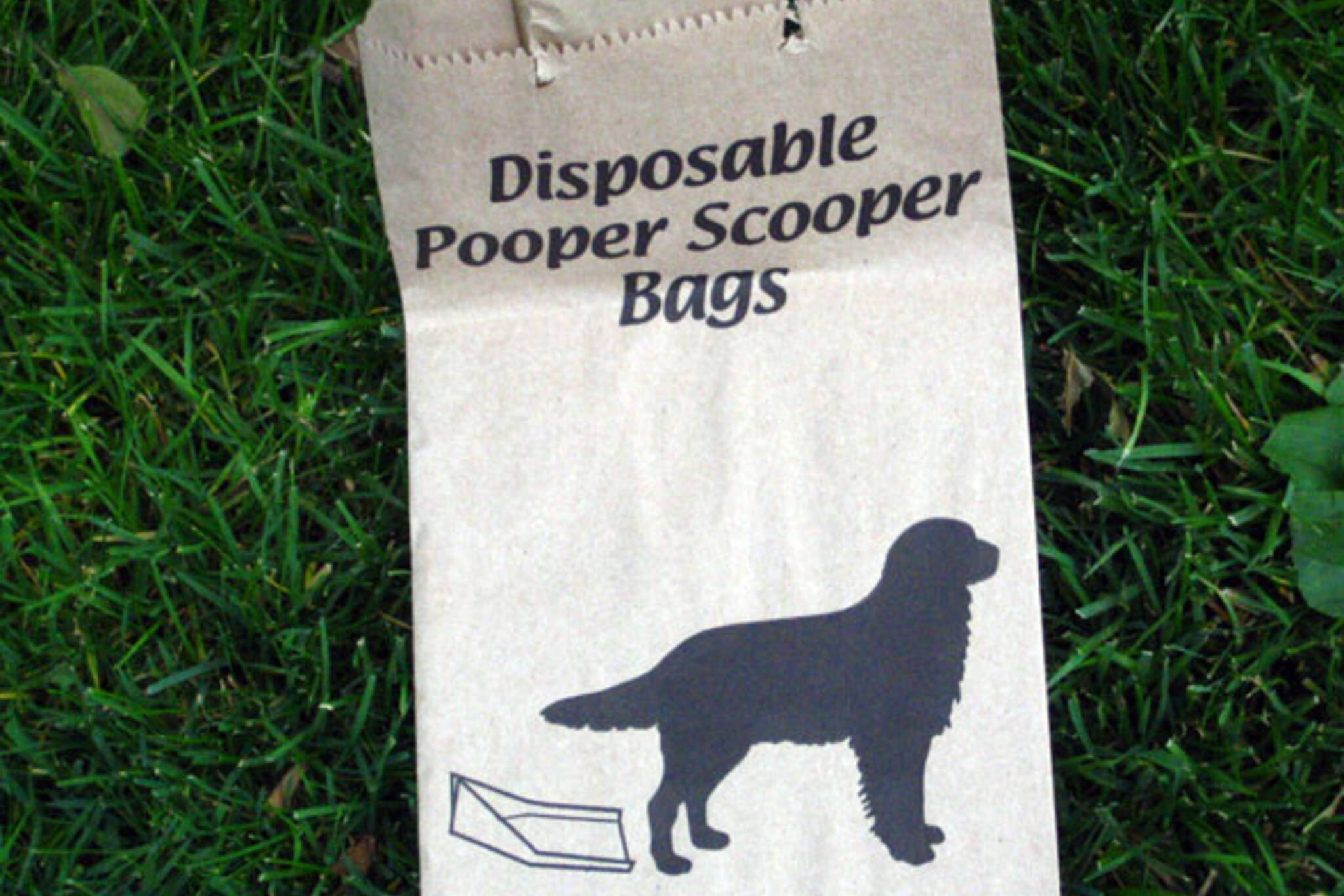 Dog poop