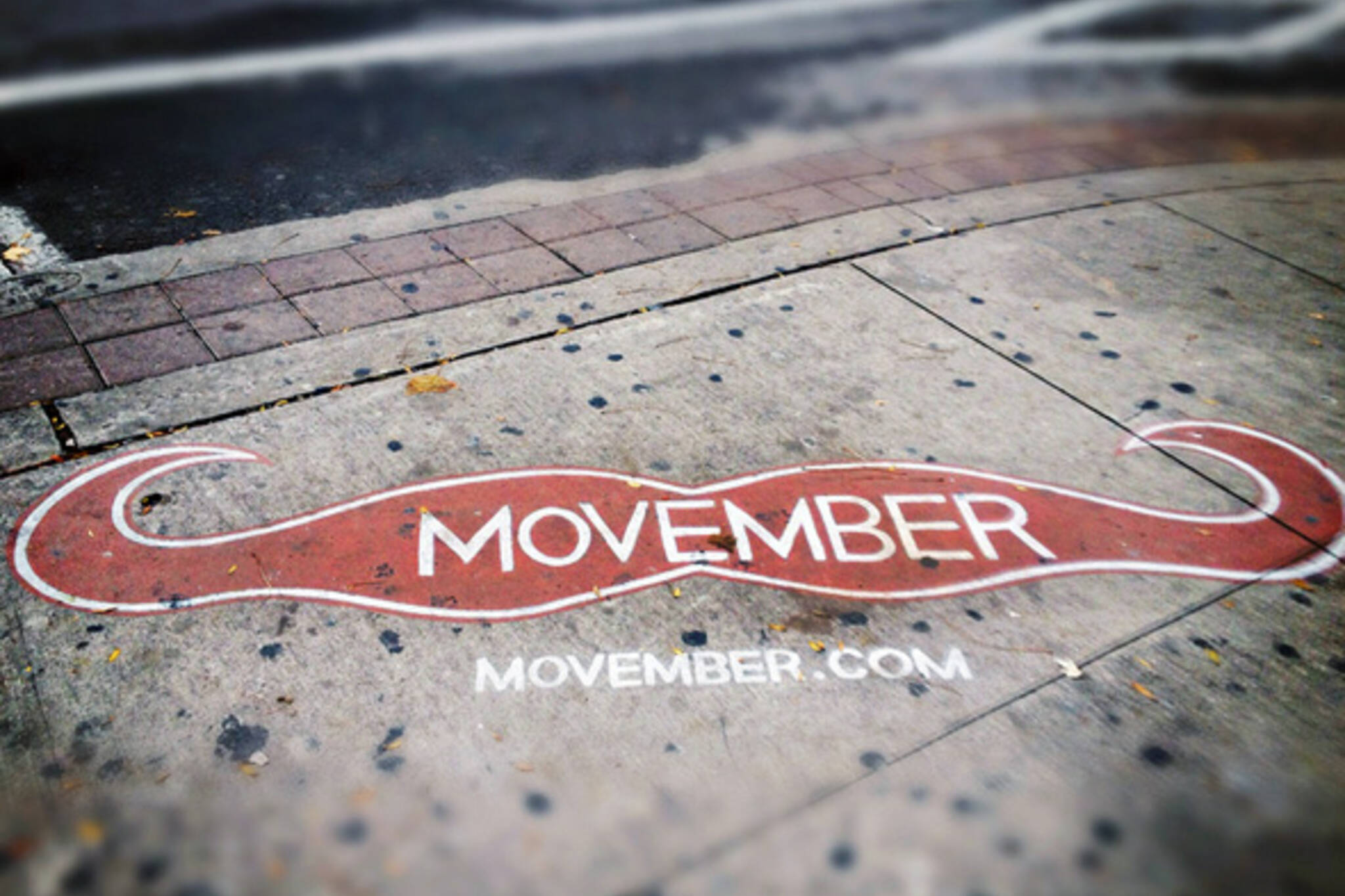 Movember Events Toronto